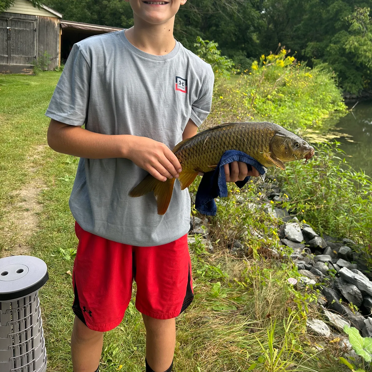 Common carp caught on Fishbrain
