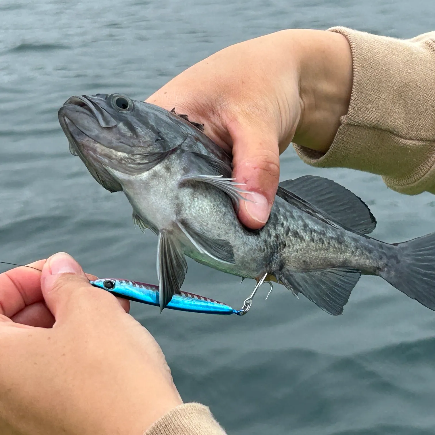 most liked catch image