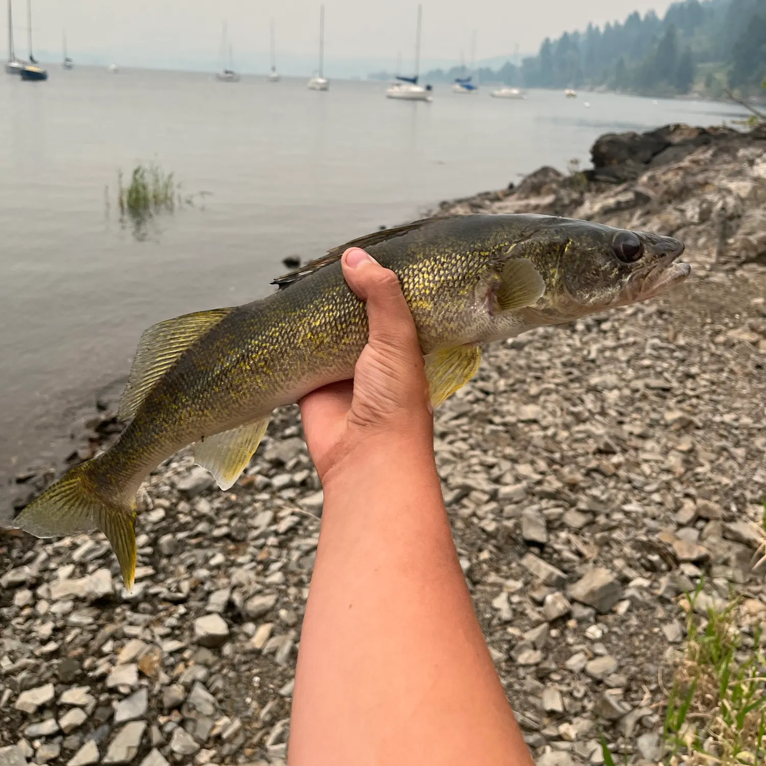 catch