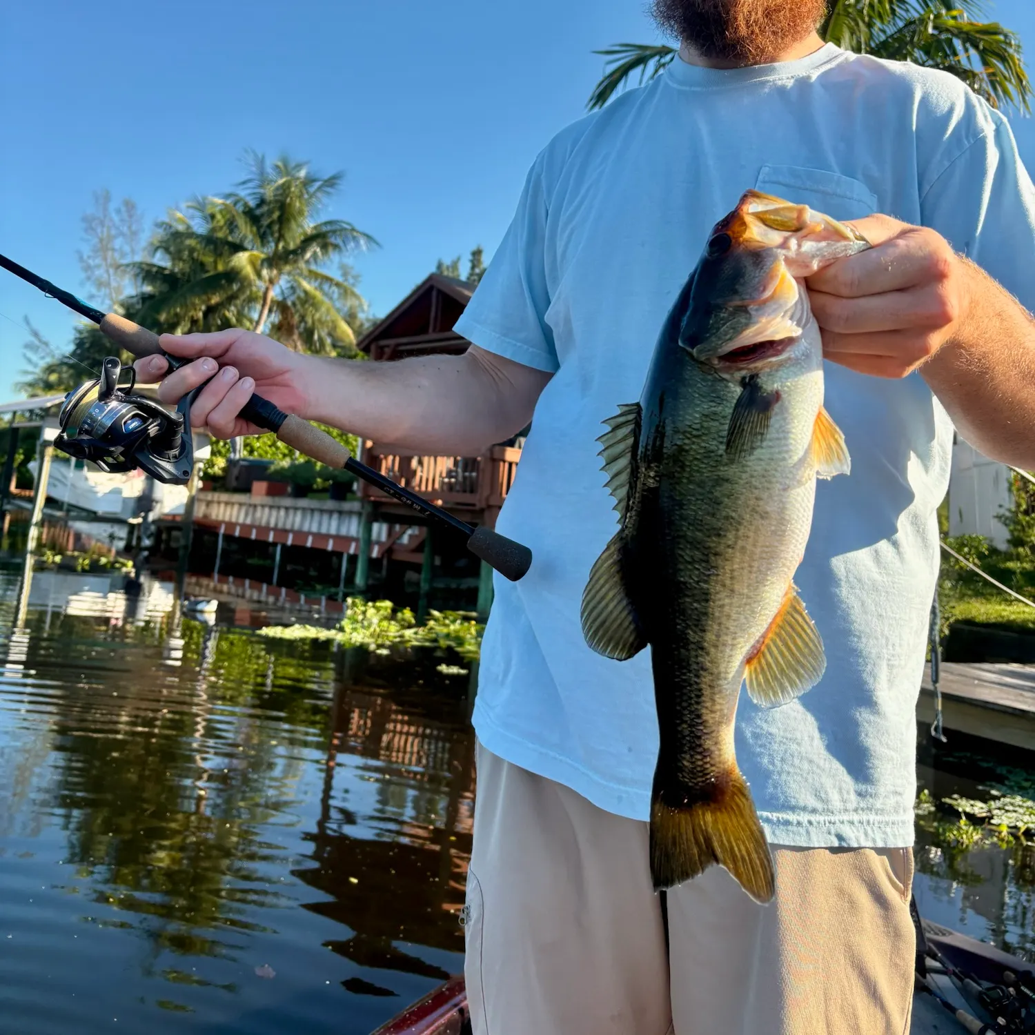 Largemouth bass caught on Fishbrain