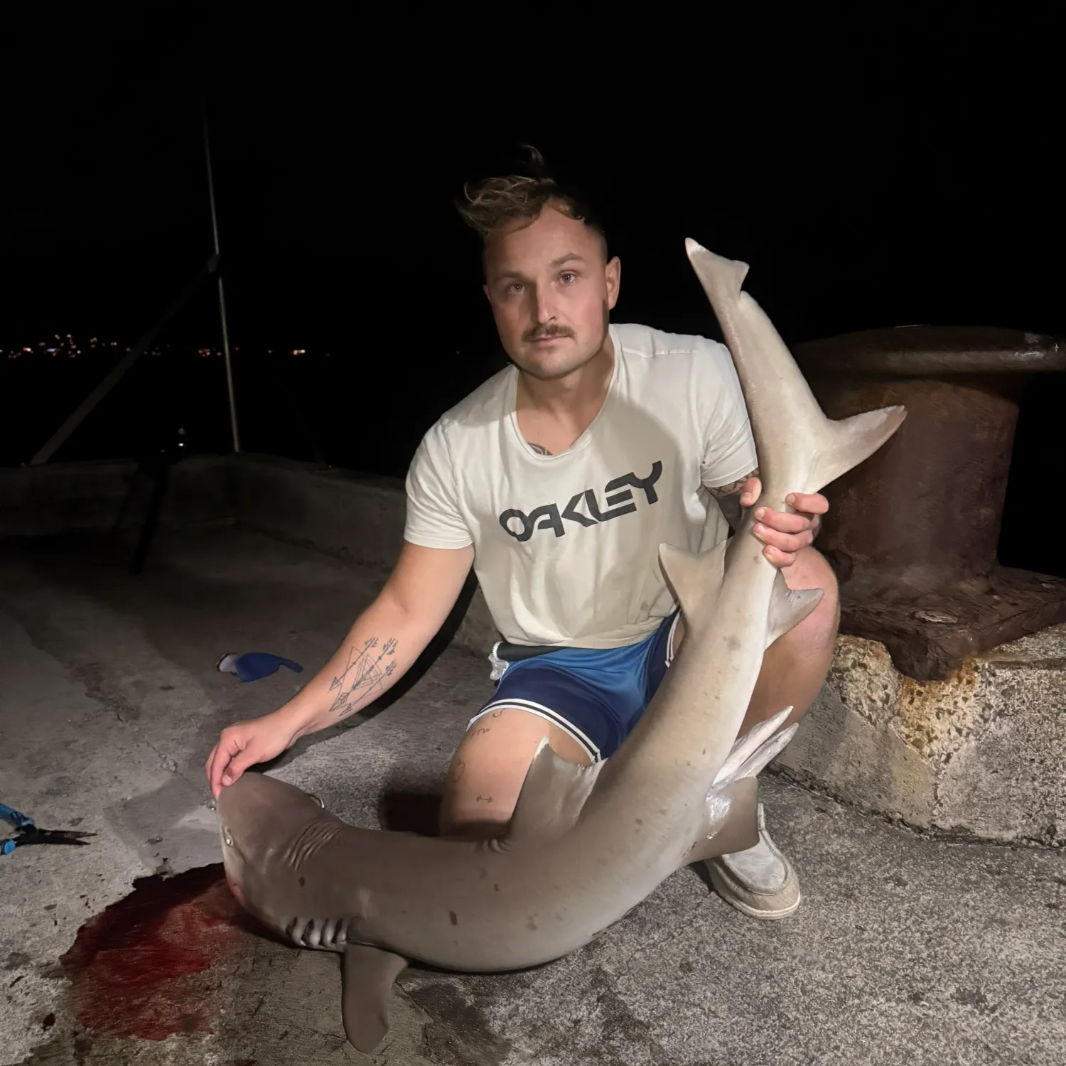 The most recent Whitetip reef shark catches on Fishbrain
