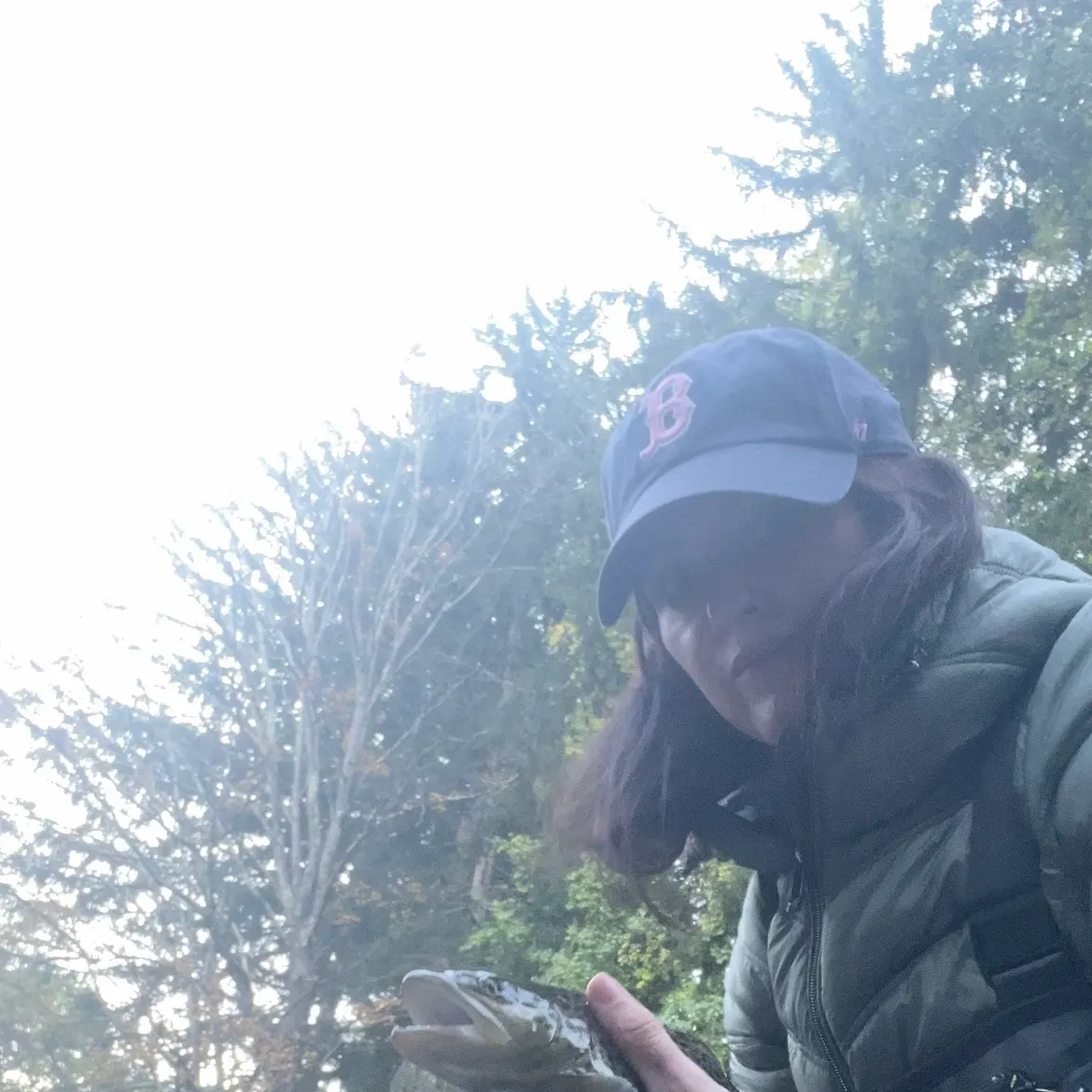 Brown trout caught on Fishbrain