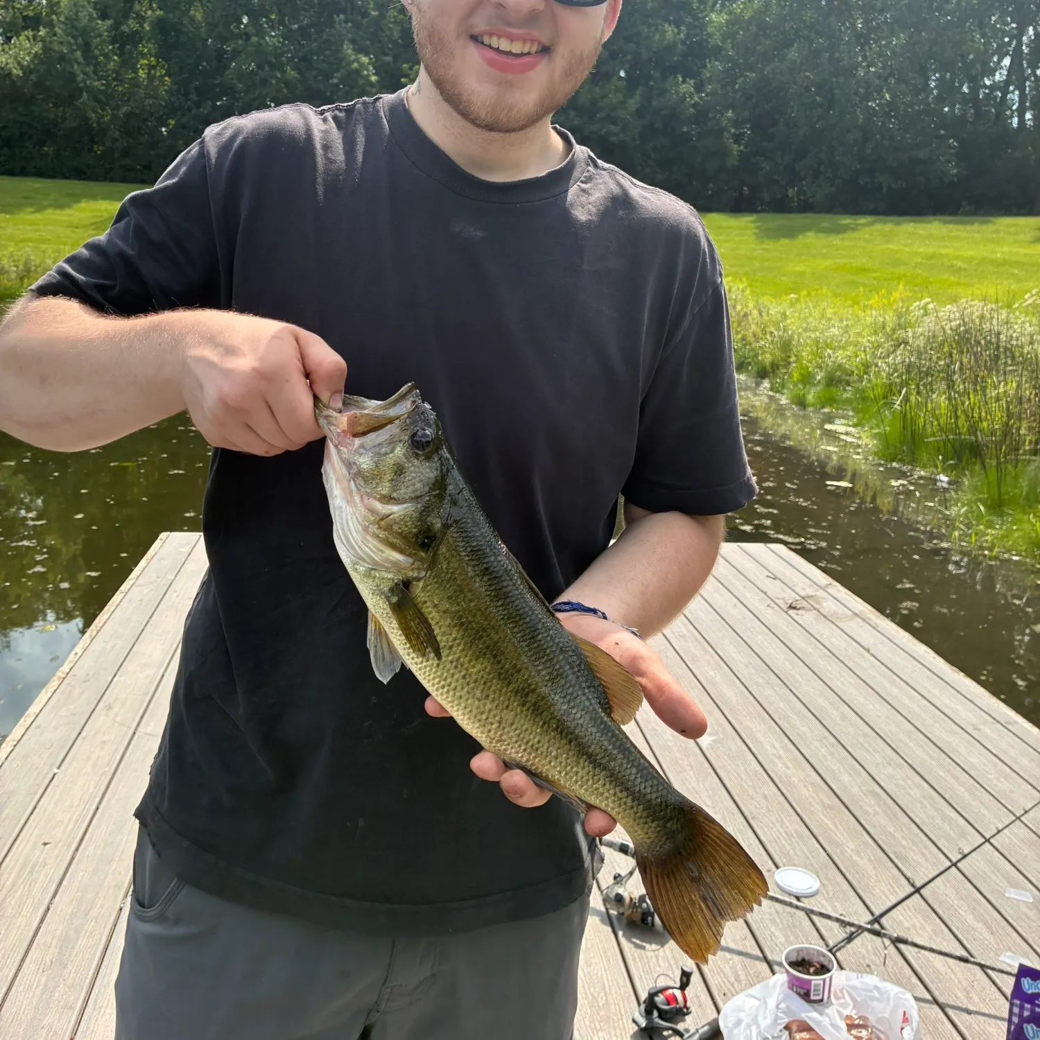 Largemouth bass caught on Fishbrain