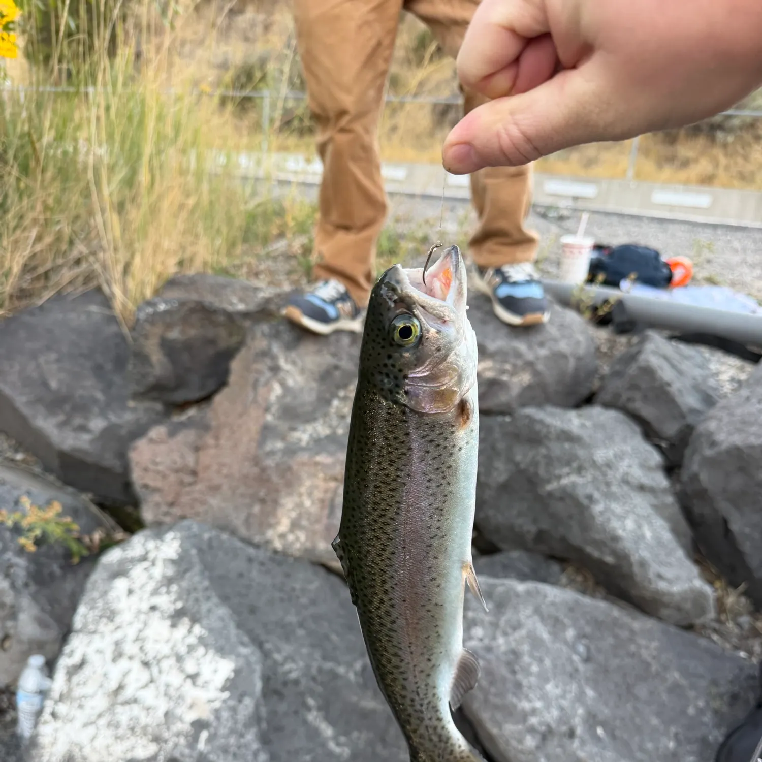 catch