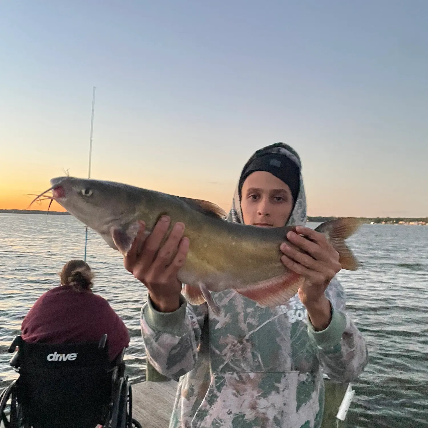 Channel catfish caught on Fishbrain