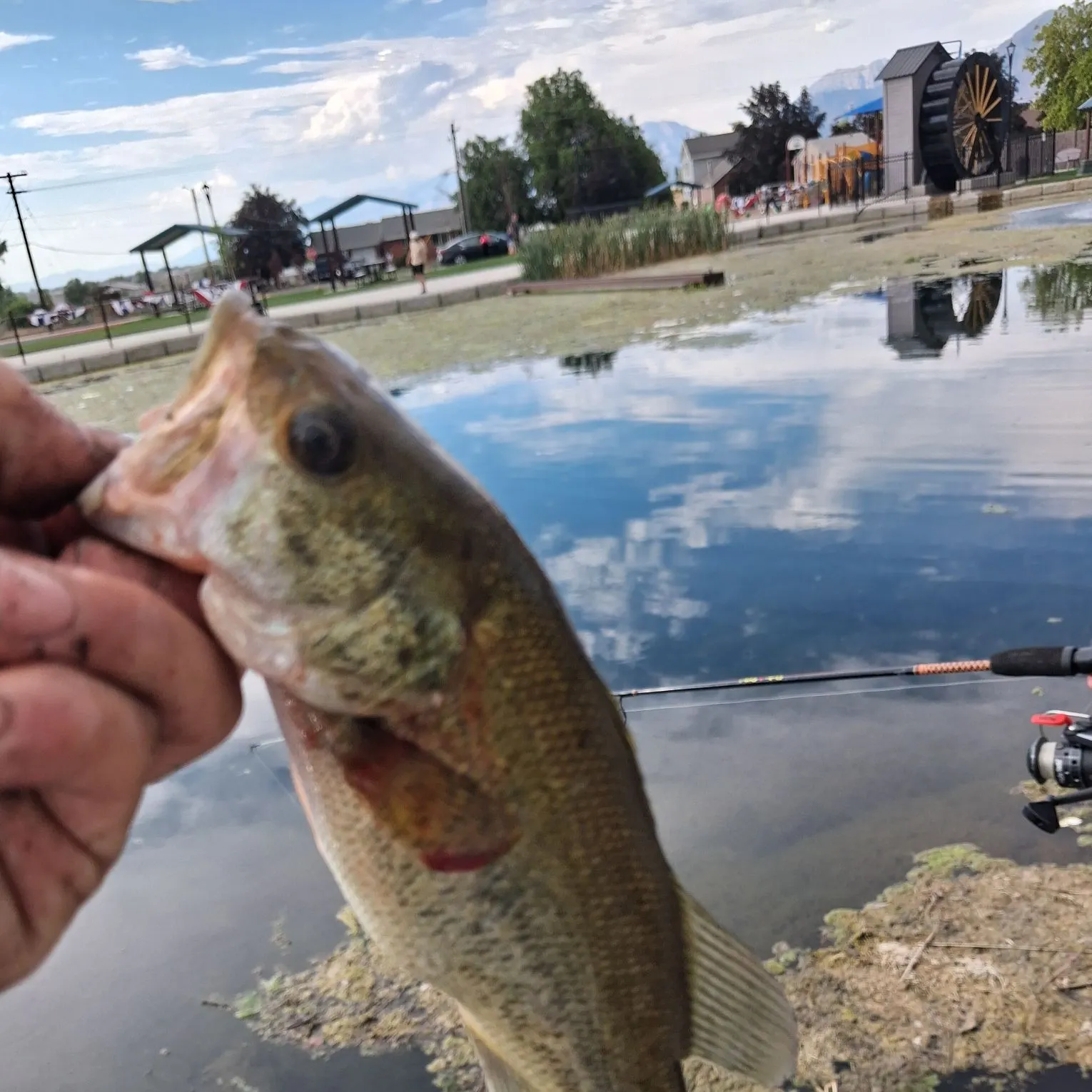 catch