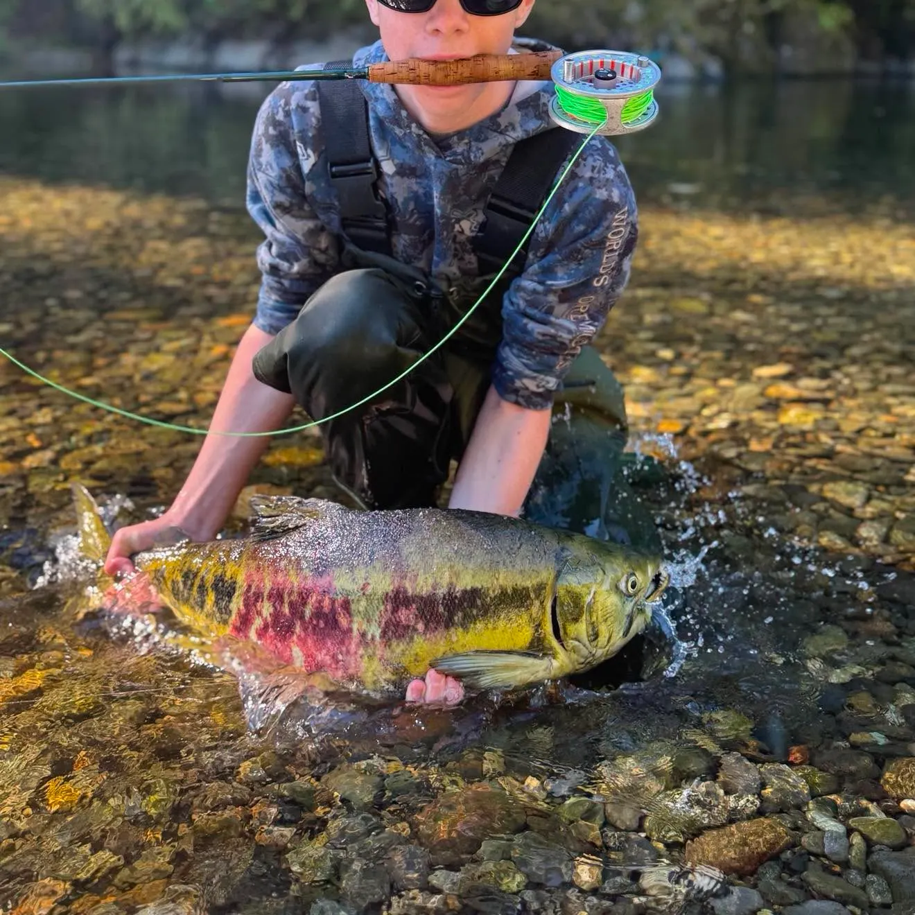 The most recent Chum salmon catches on Fishbrain