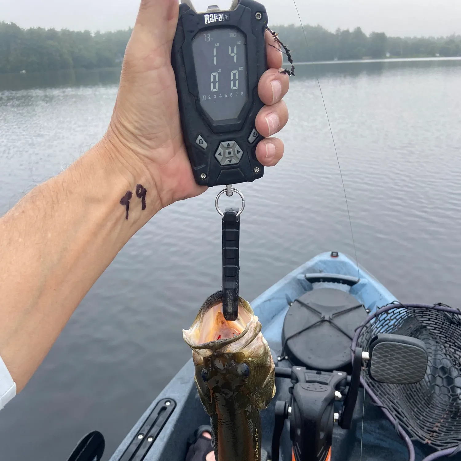recently logged catches