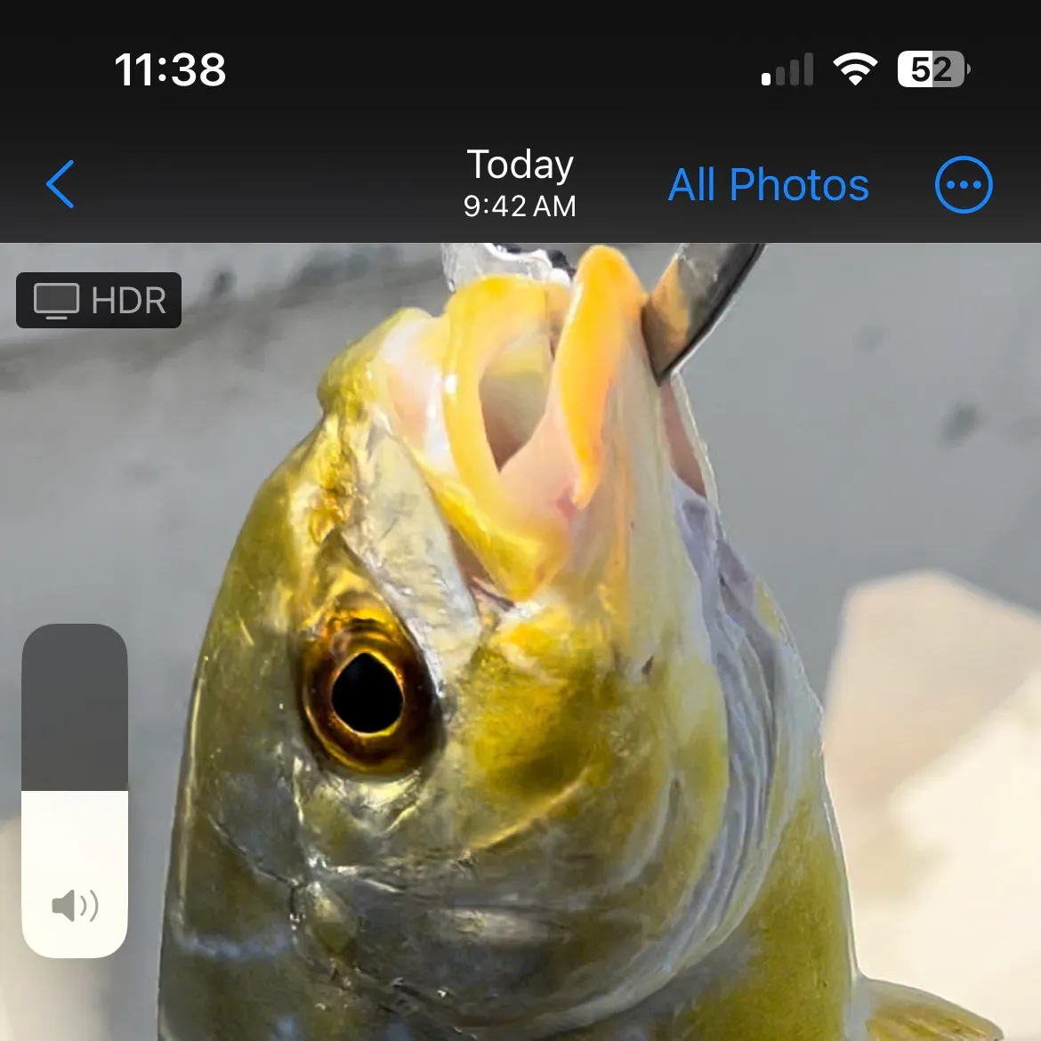 most liked catch image