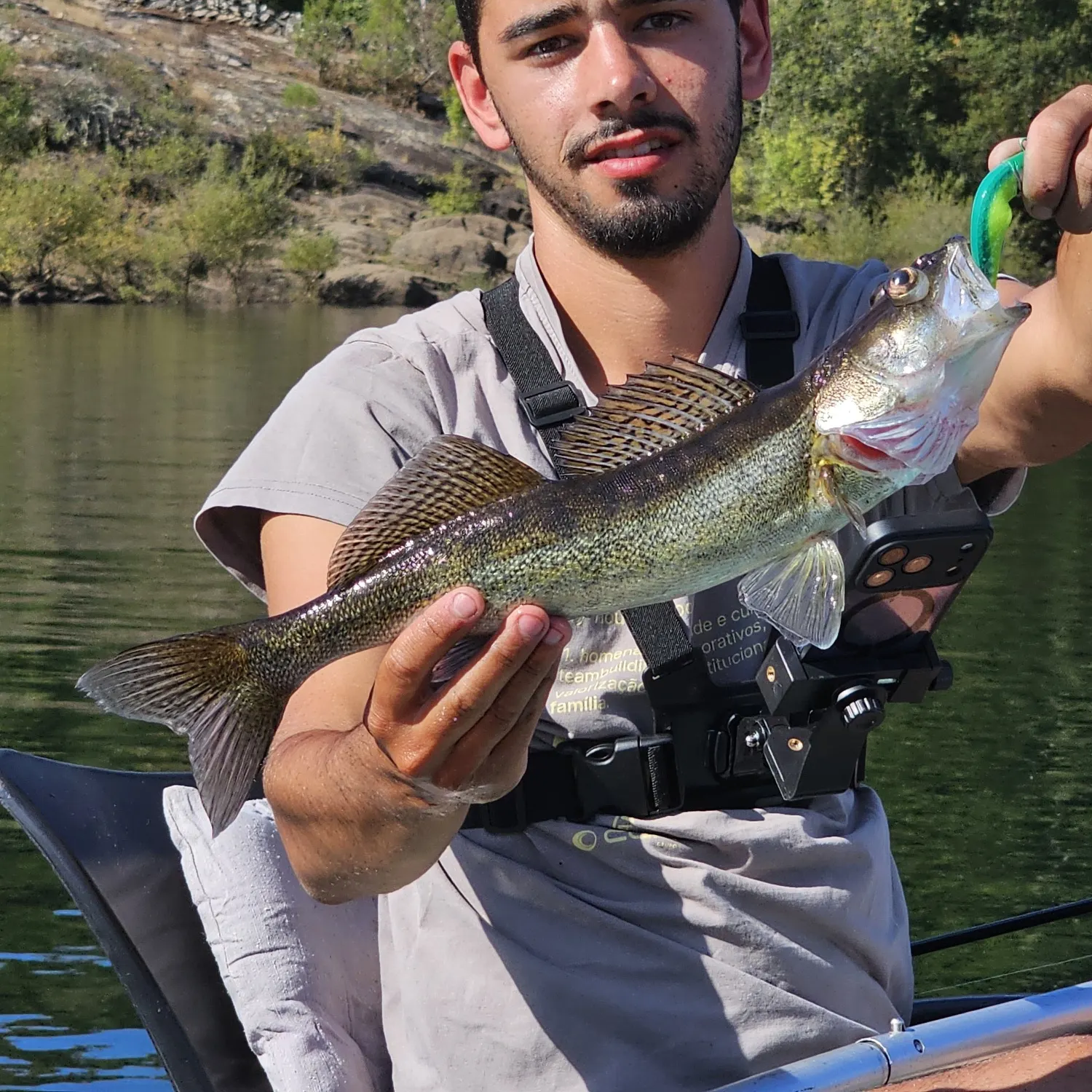 Zander caught on Fishbrain