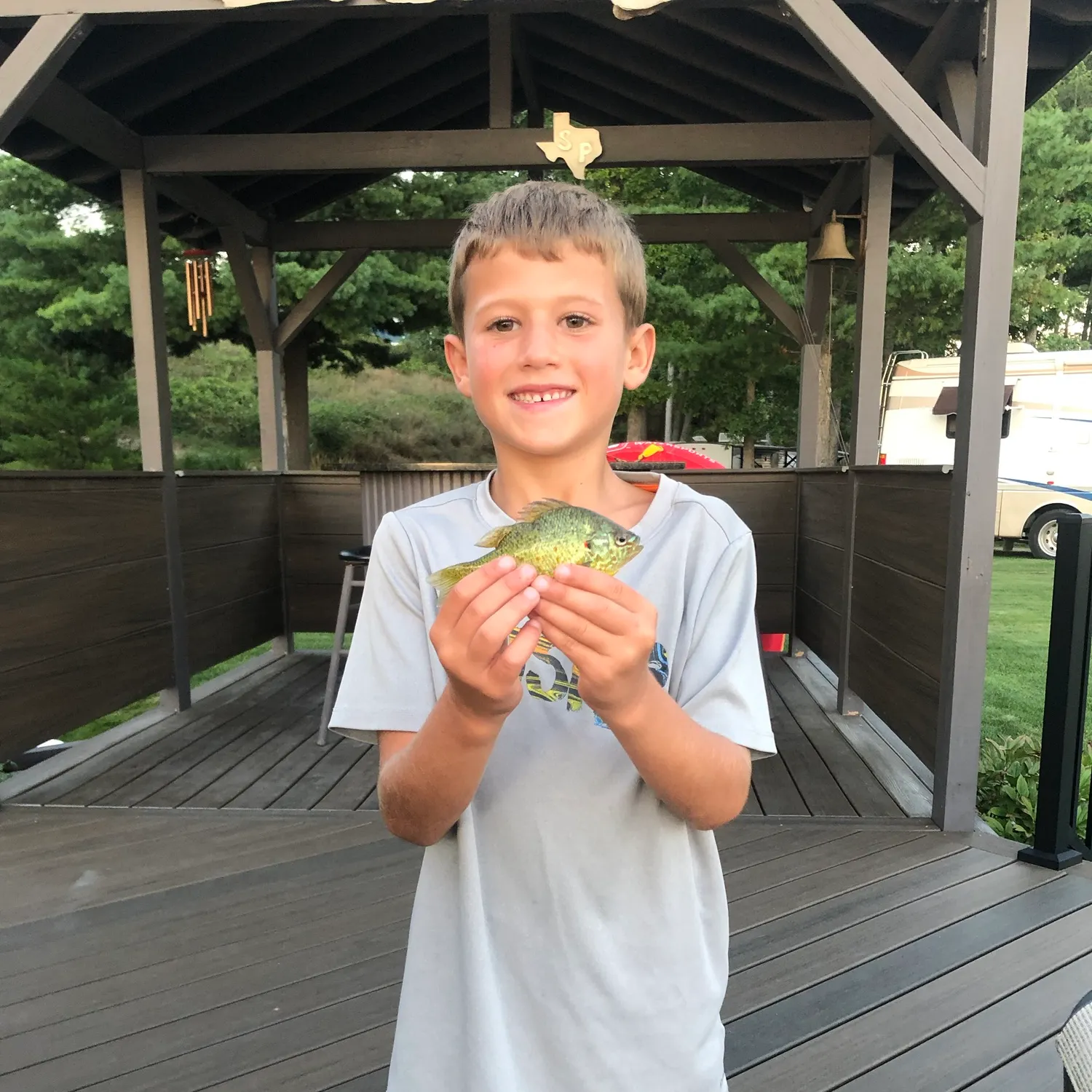Redear sunfish caught on Fishbrain