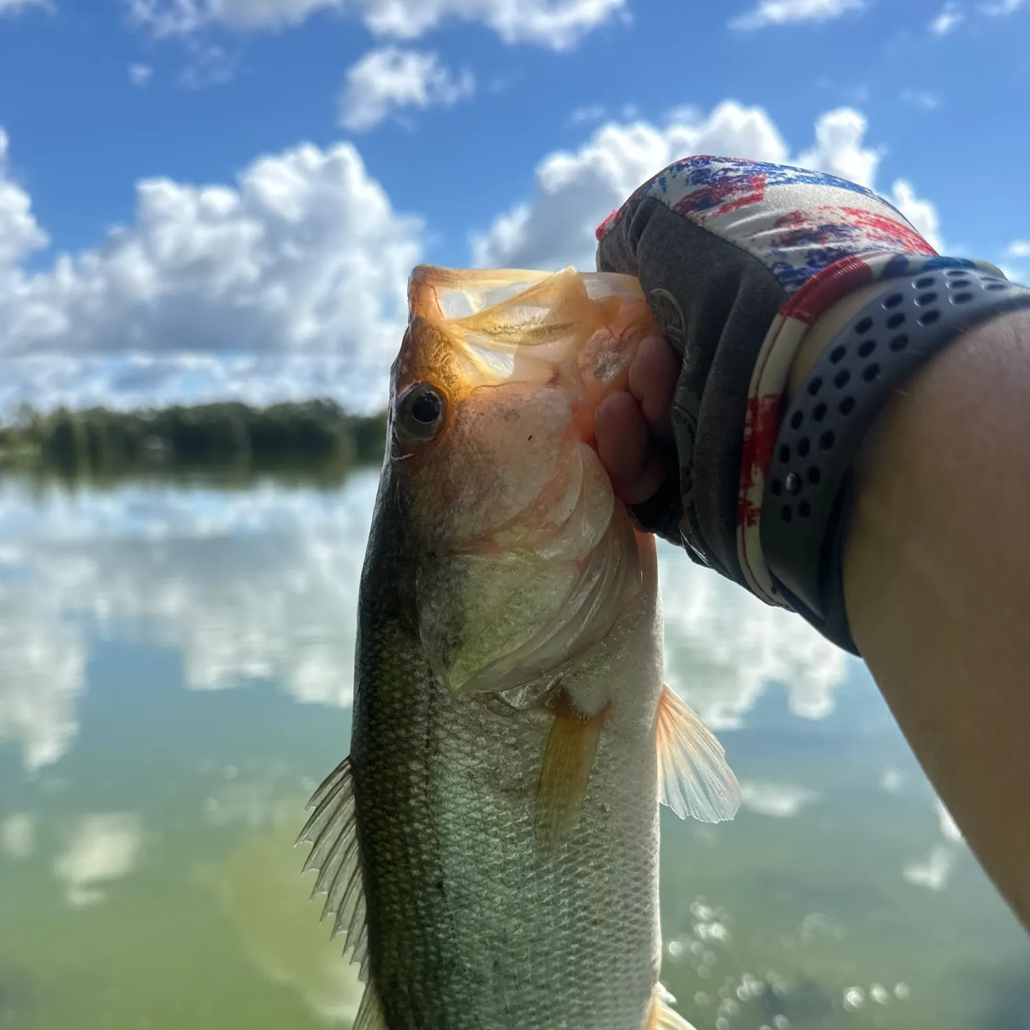 Florida bass caught on Fishbrain