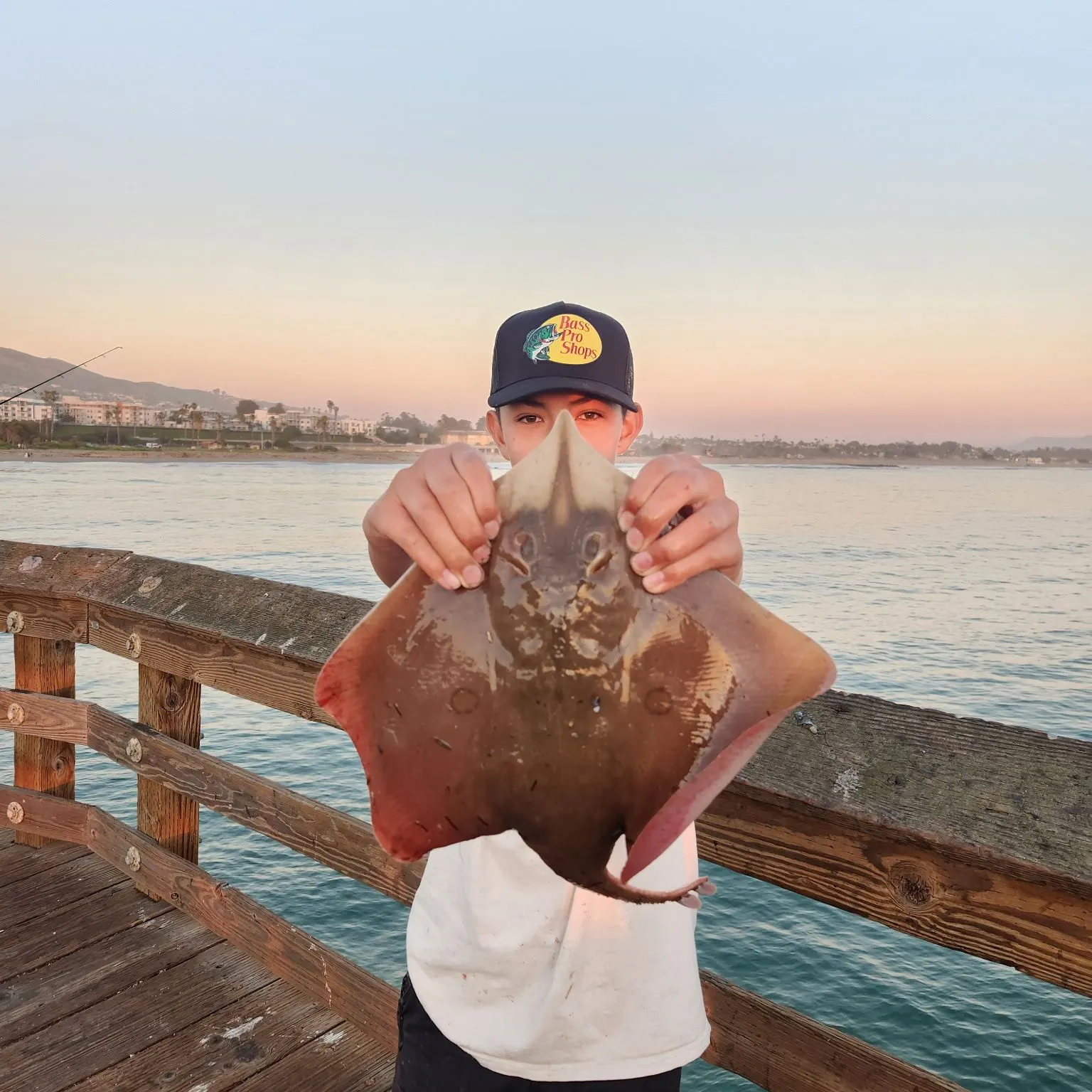 The most recent Thorntail stingray catches on Fishbrain