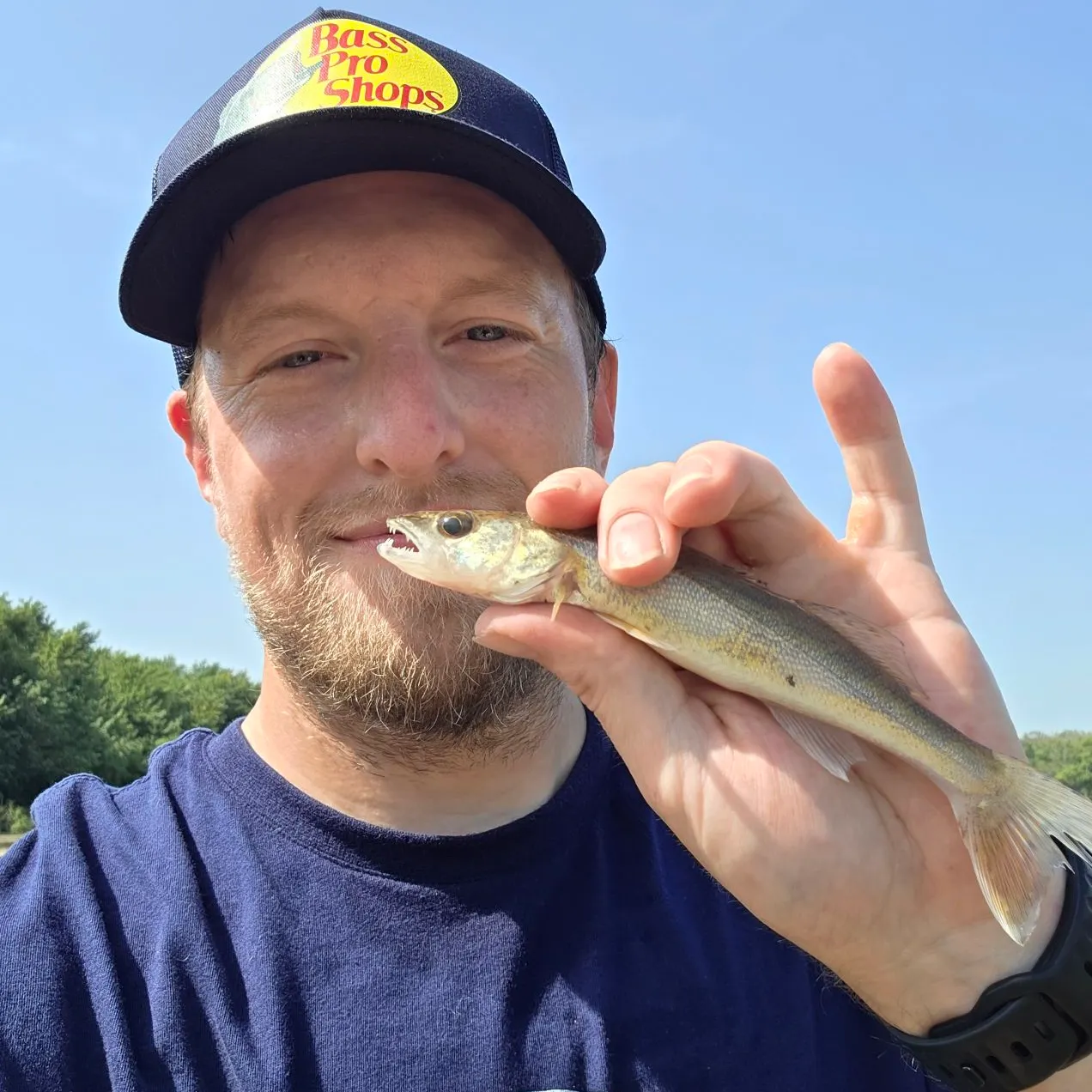 Saugeye caught on Fishbrain