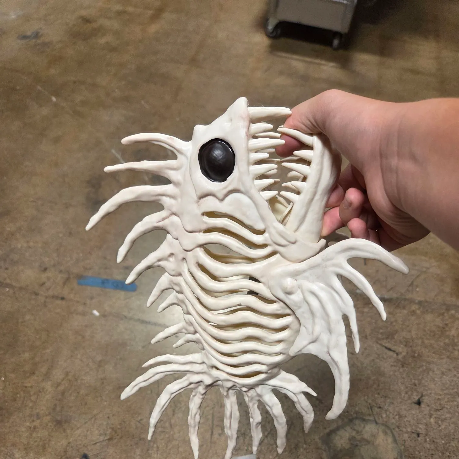The most recent Red lionfish catches on Fishbrain