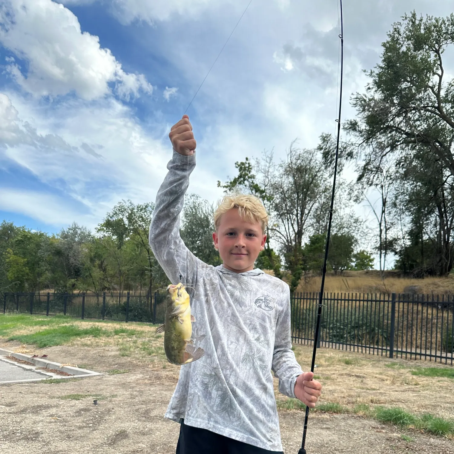 Brown bullhead caught on Fishbrain