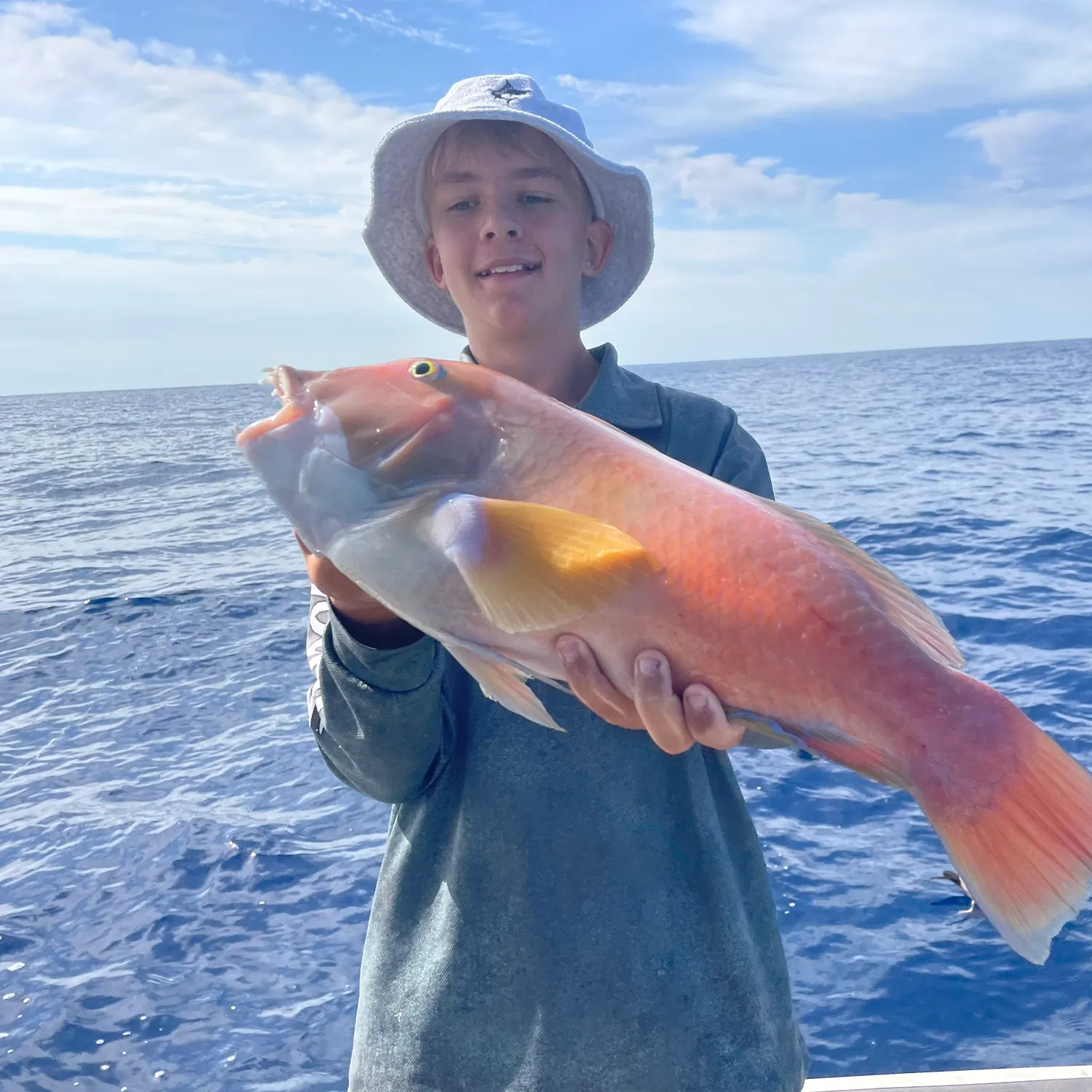 The most recent Baldchin groper catches on Fishbrain