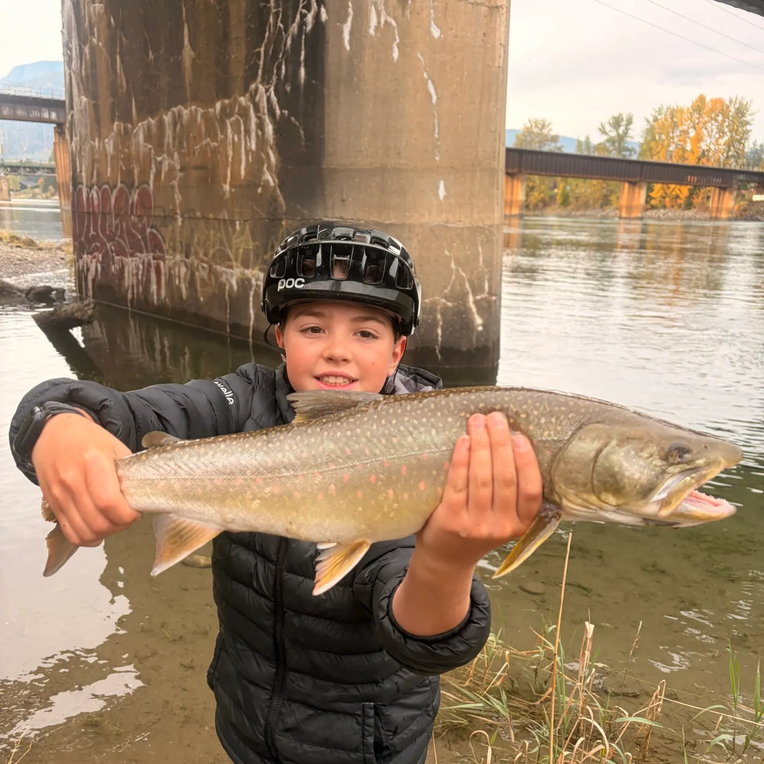 The most recent Bull trout catches on Fishbrain