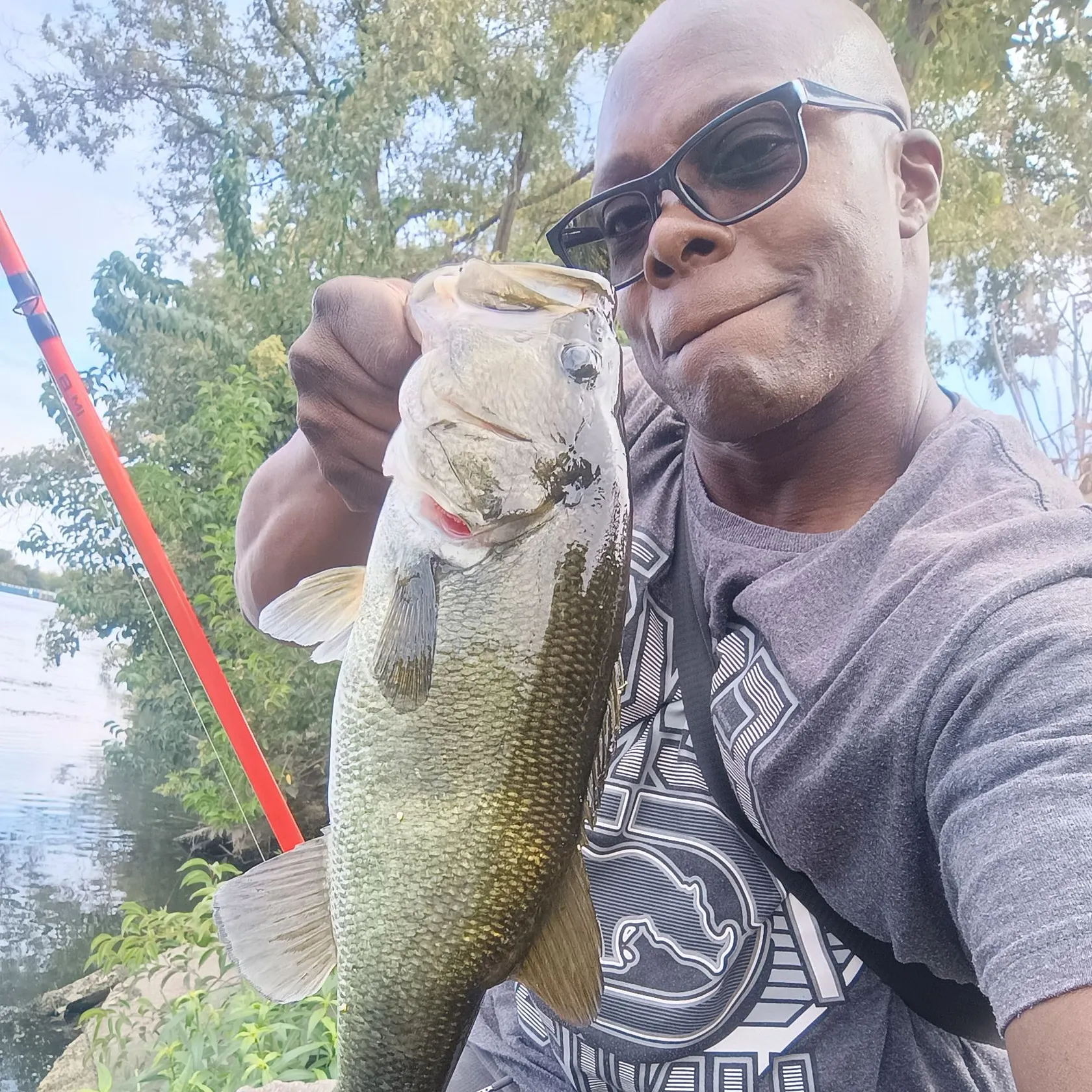 Largemouth bass caught on Fishbrain