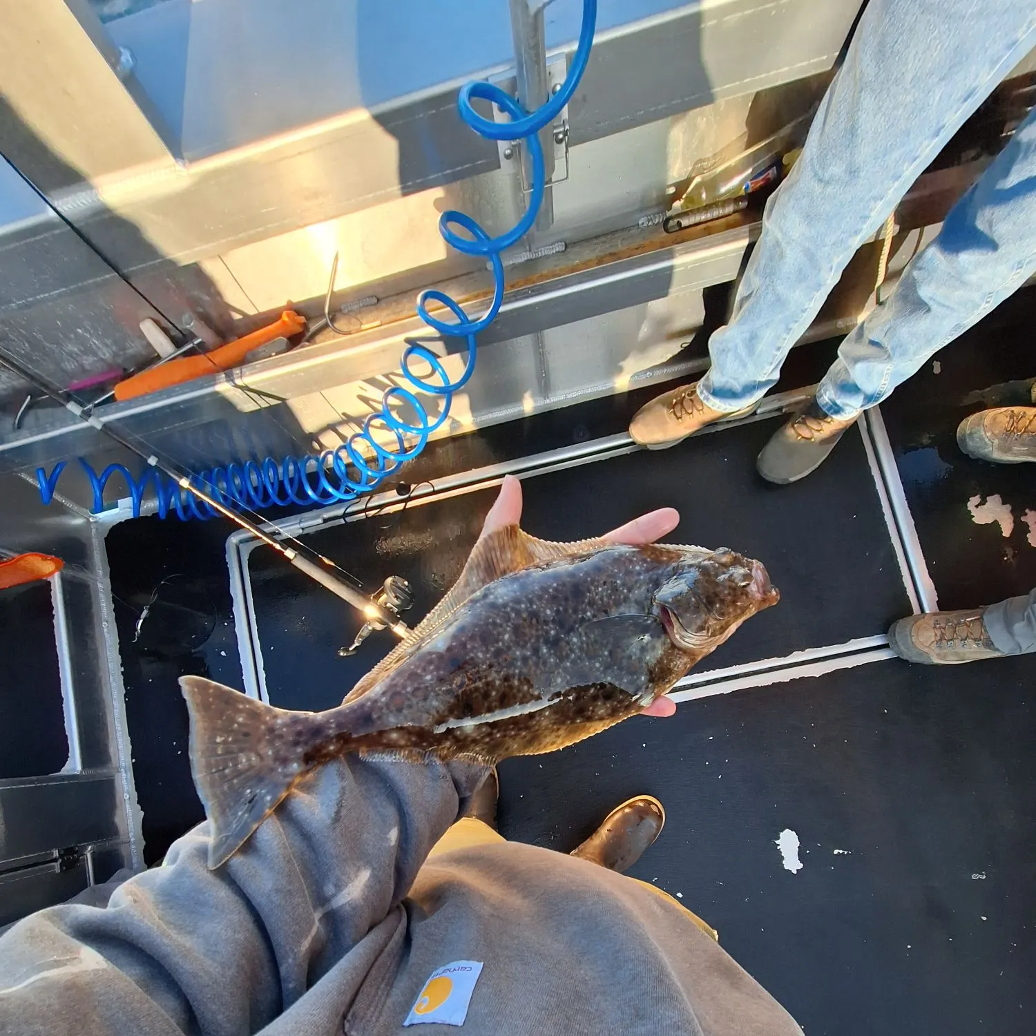 recently logged catches