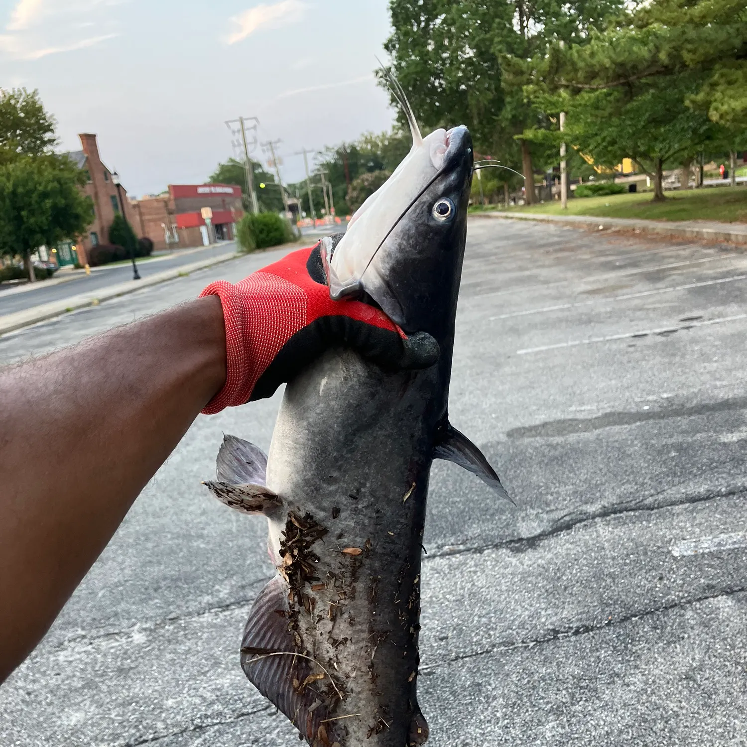 catch