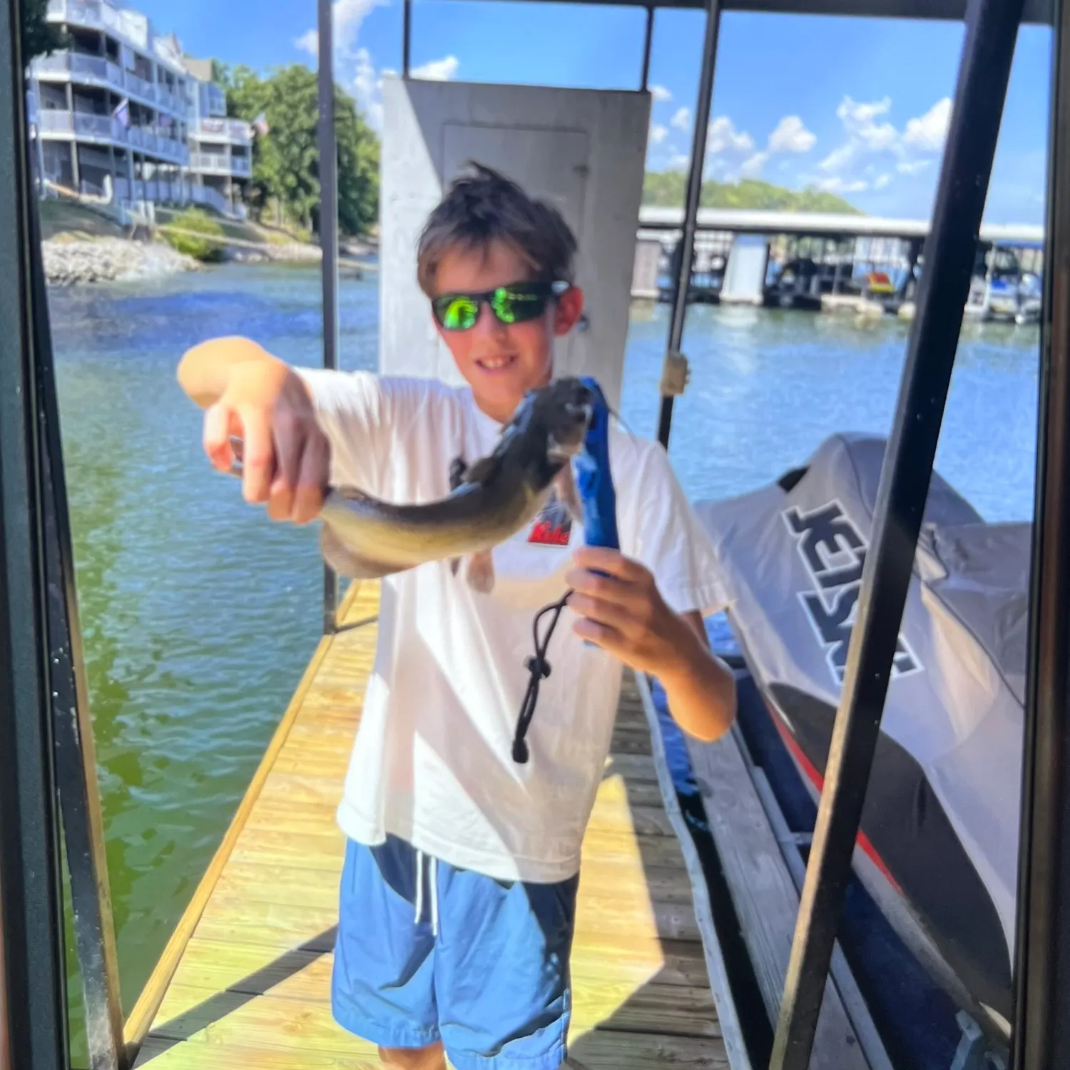 Channel catfish caught on Fishbrain