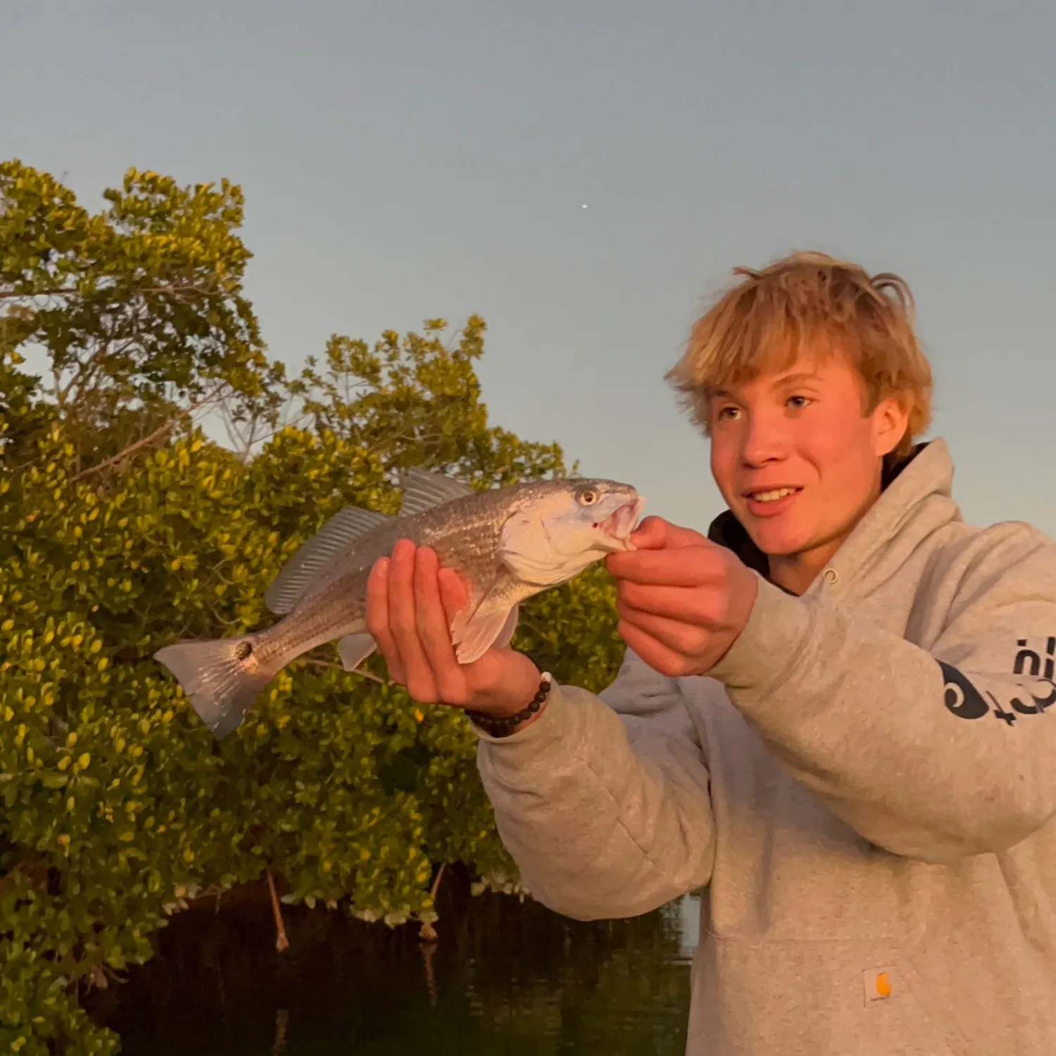 The most recent Red drum catches on Fishbrain