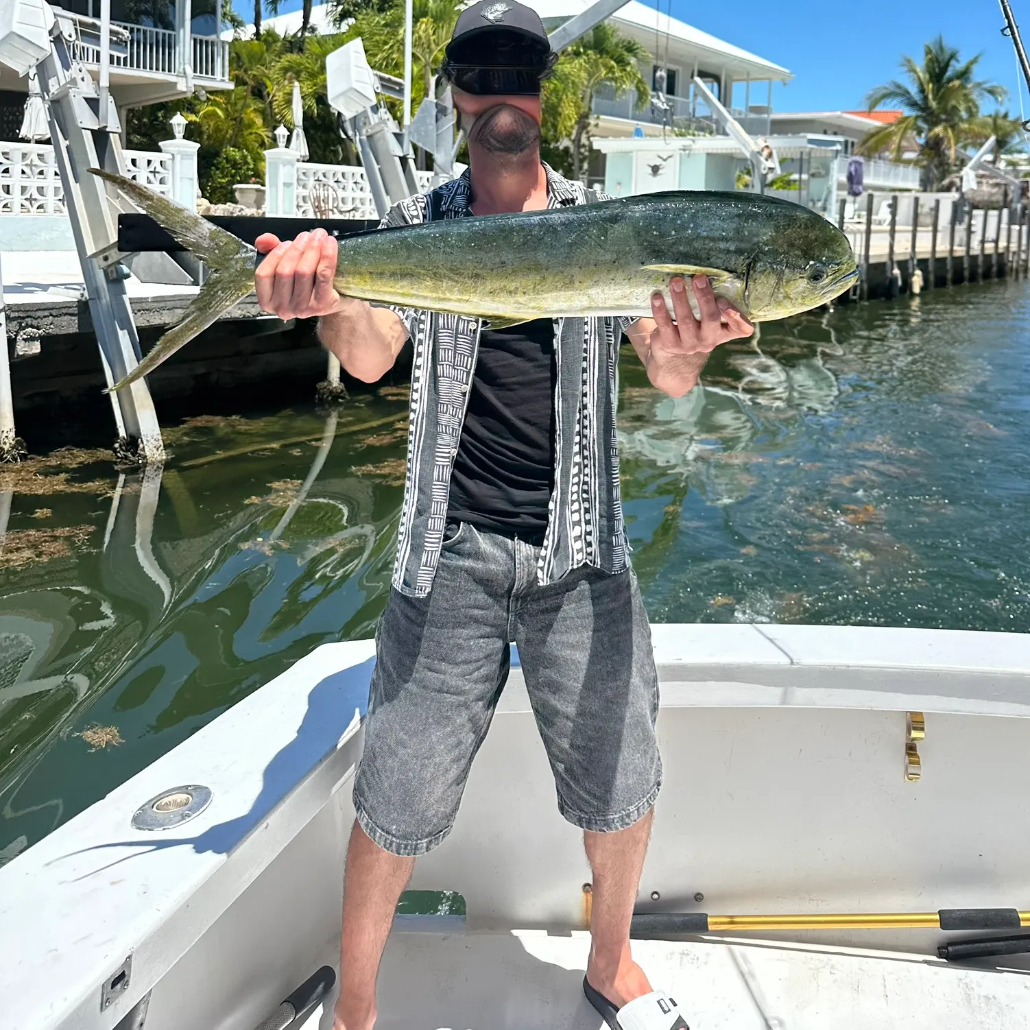 The most recent Common dolphinfish catches on Fishbrain