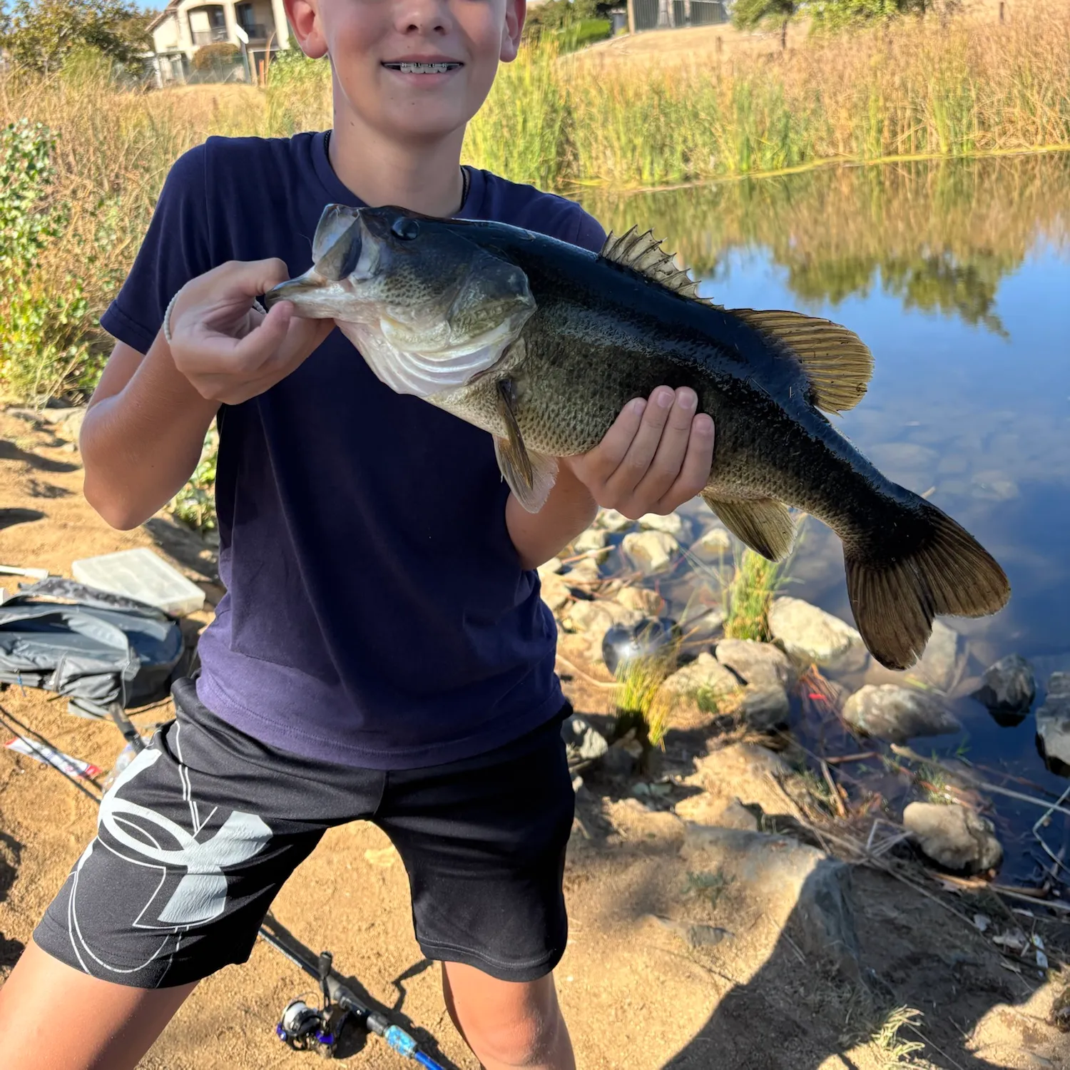 Largemouth bass caught on Fishbrain