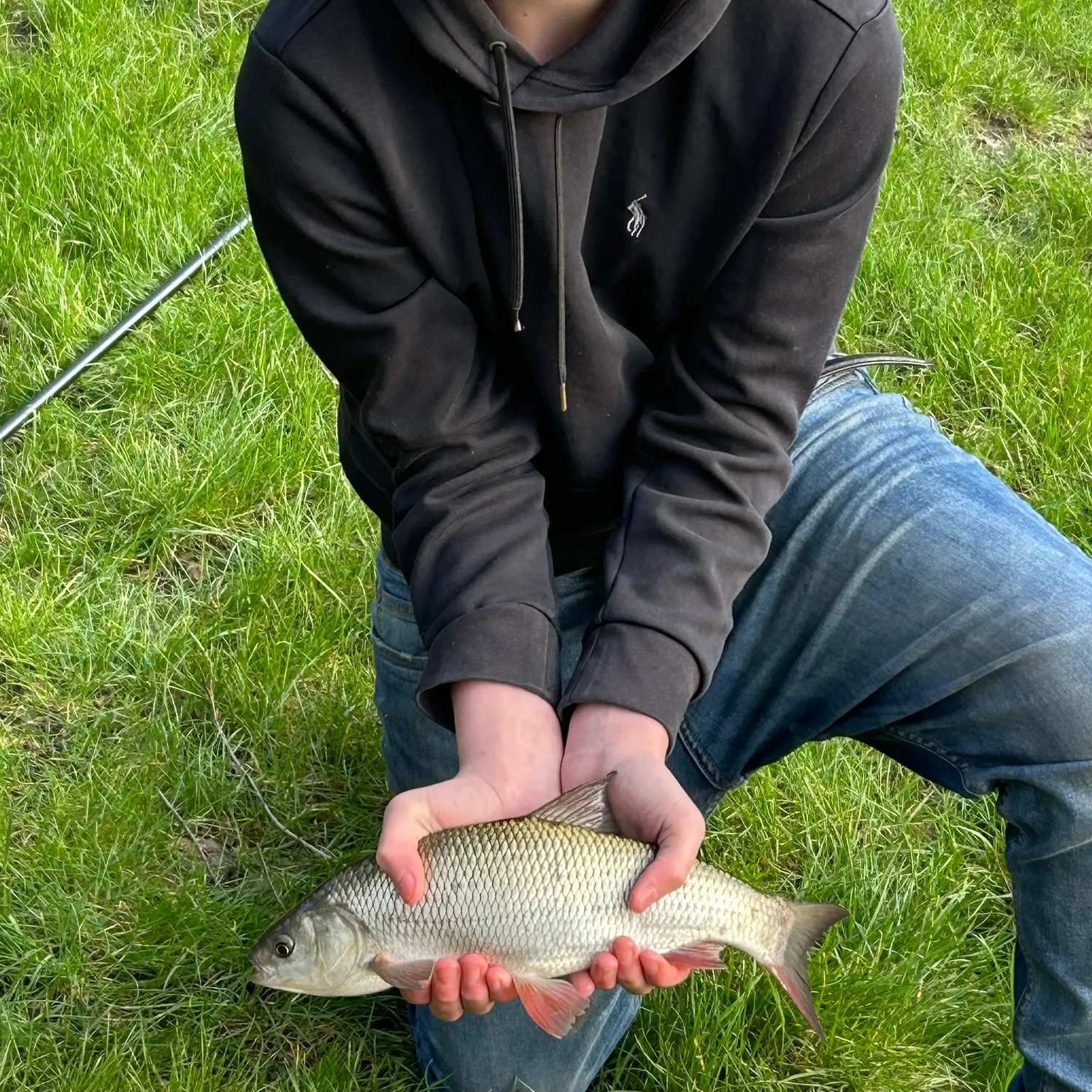 The most recent Ide catches on Fishbrain