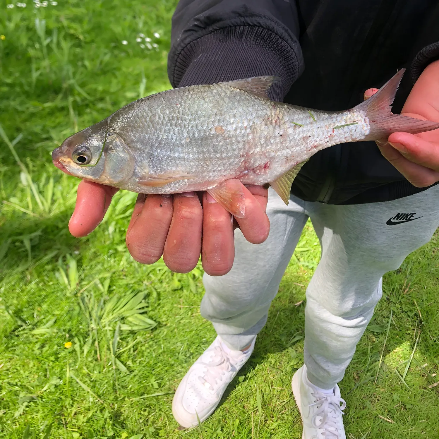 most liked catch image