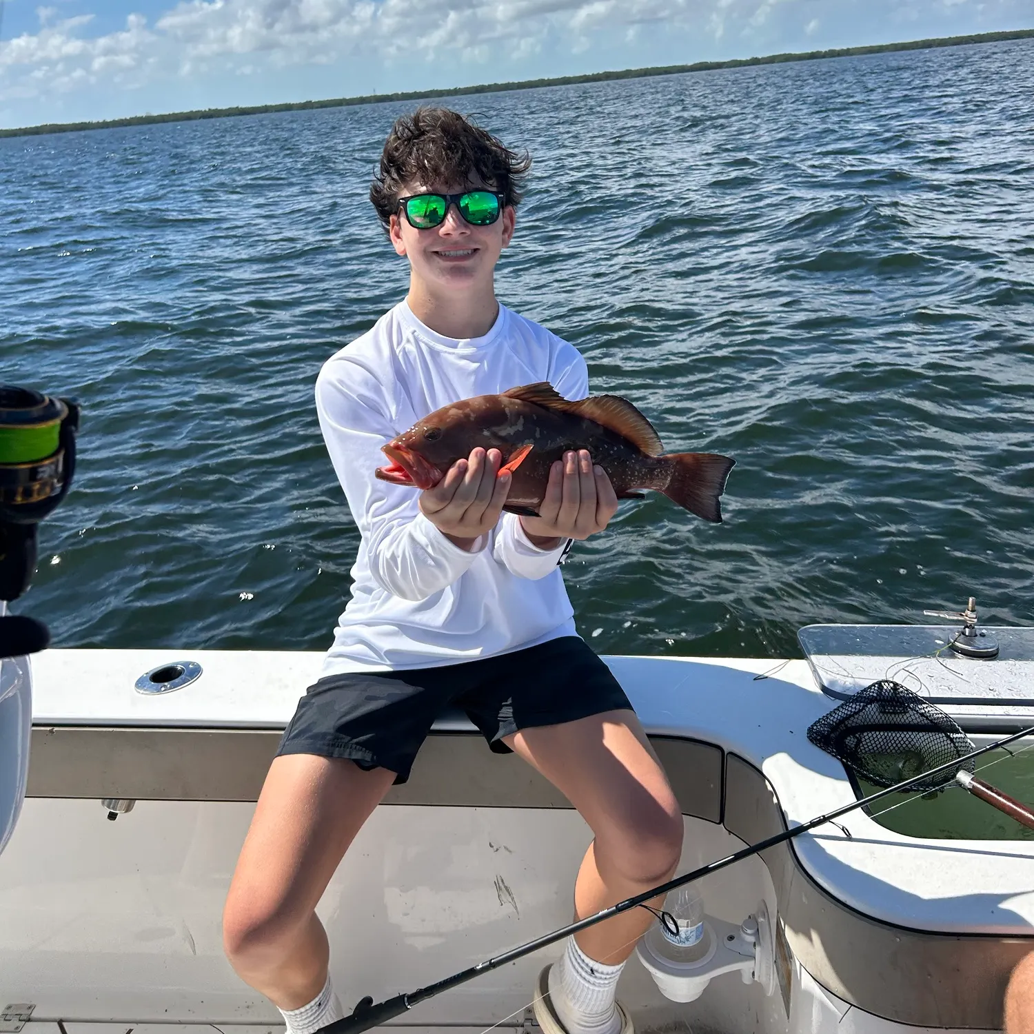 Red grouper caught on Fishbrain