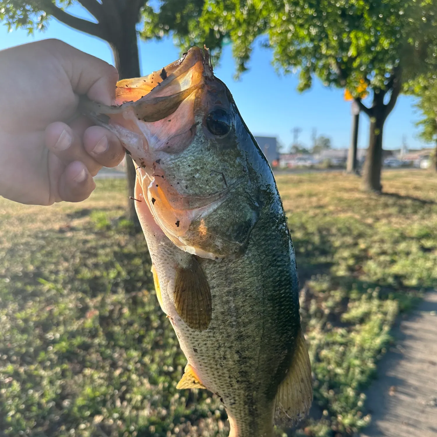 catch