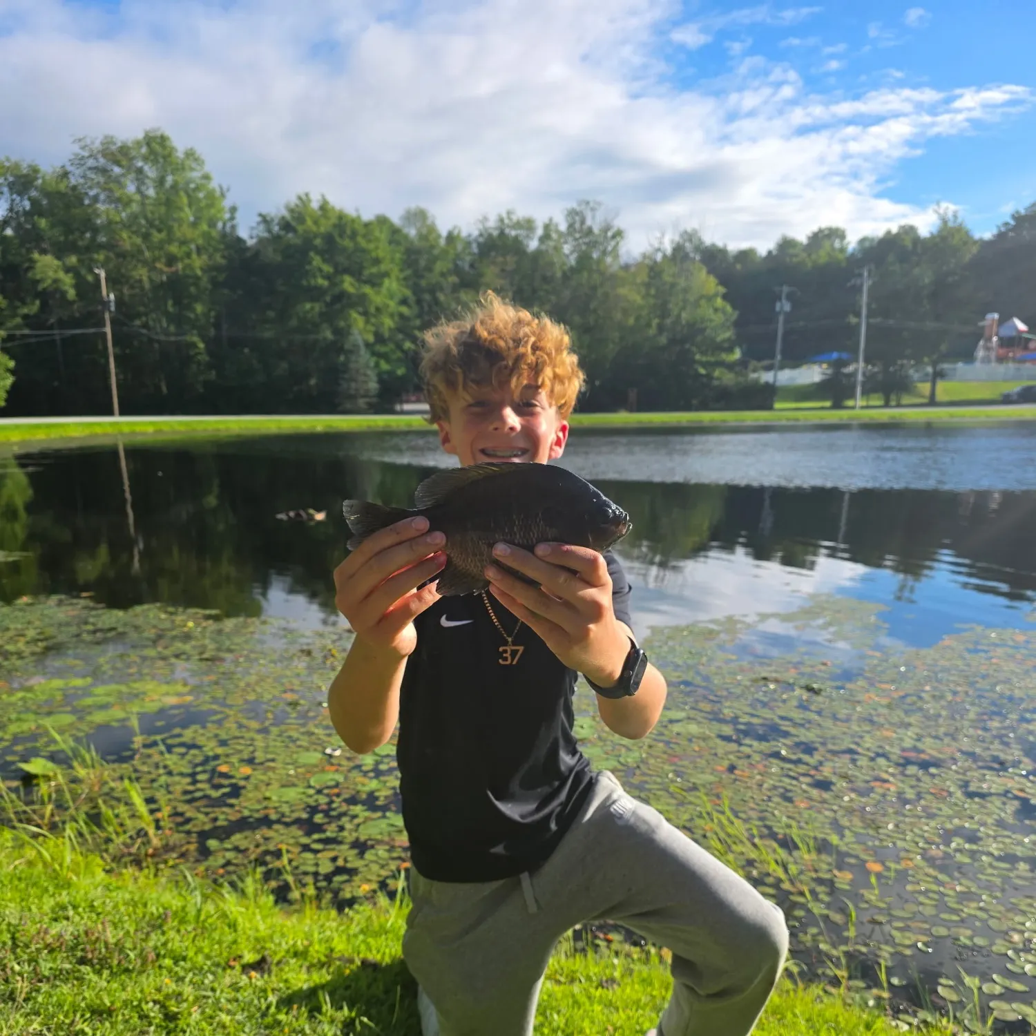 Bluegill caught on Fishbrain