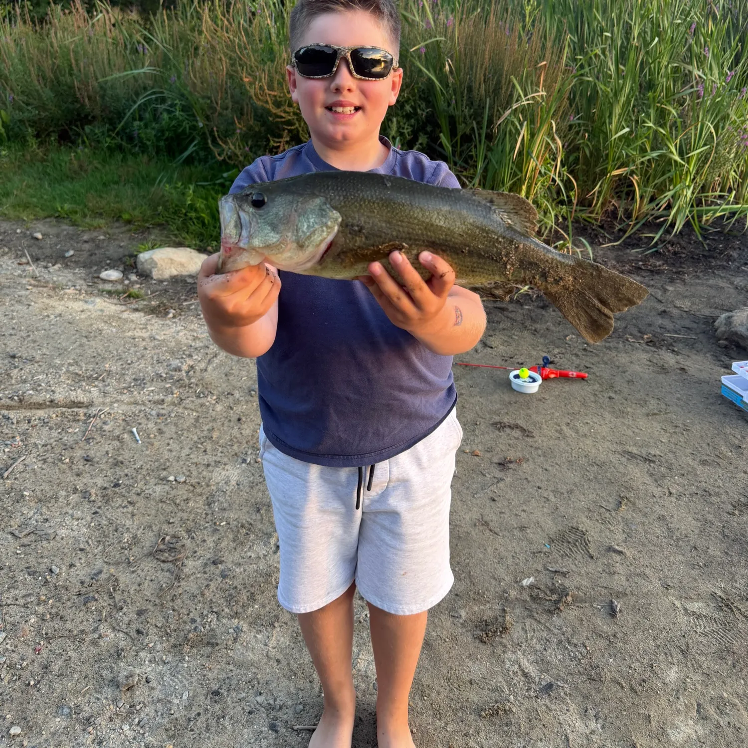 Largemouth bass caught on Fishbrain