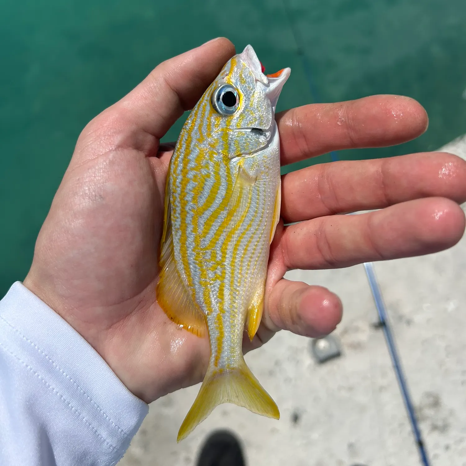 most liked catch image