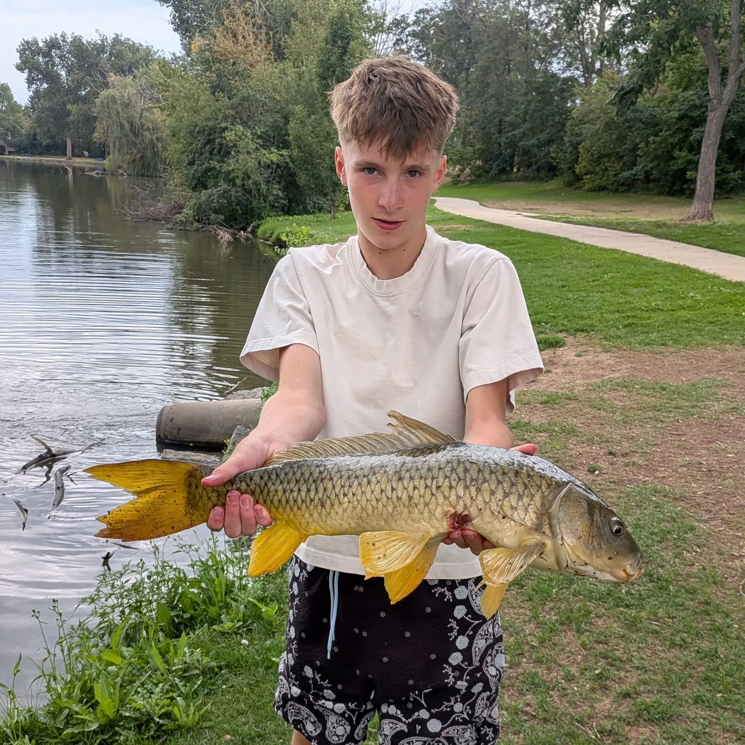 Common carp caught on Fishbrain