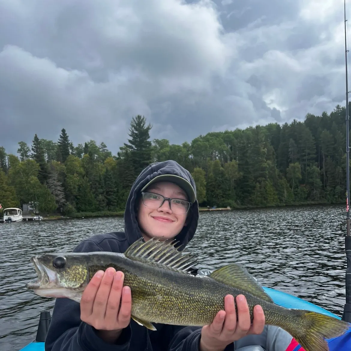 Walleye caught on Fishbrain