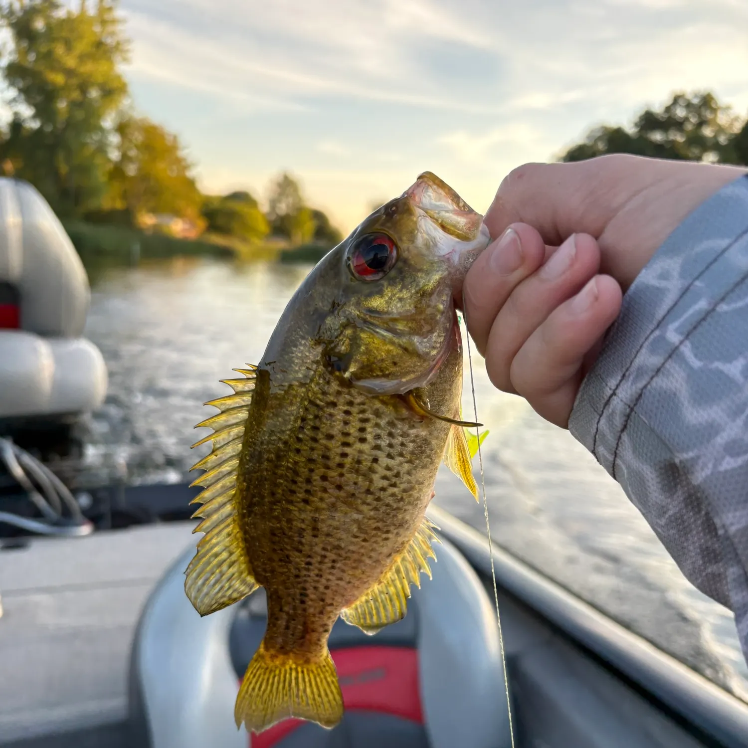 Fish caught on Fishbrain