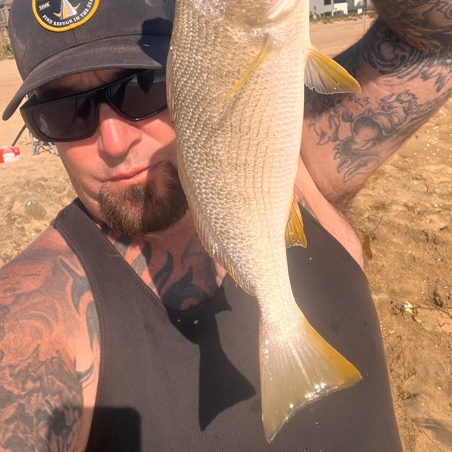 Yellowfin croaker caught on Fishbrain
