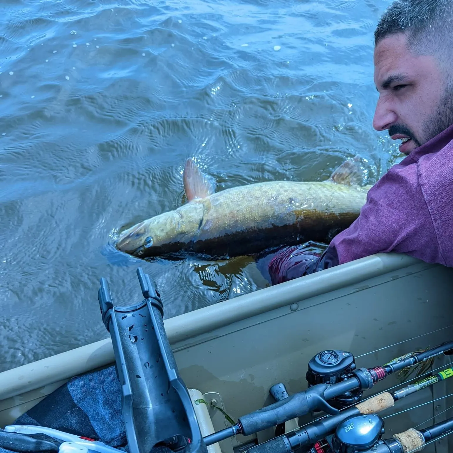 recently logged catches