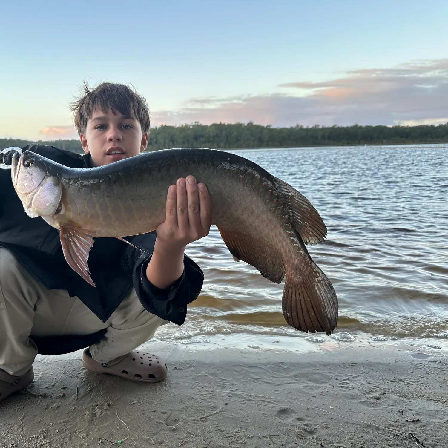 The most popular recent Spotted bonytongue catch on Fishbrain