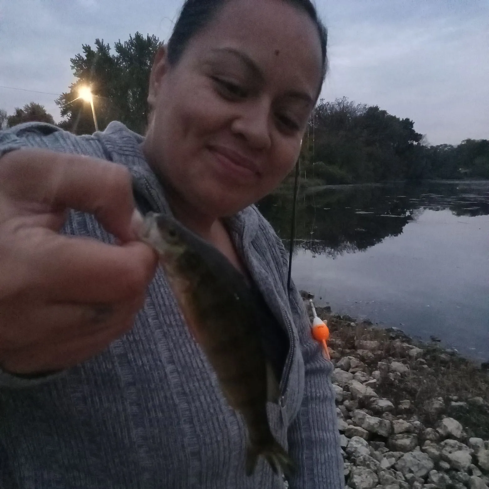 Yellow perch caught on Fishbrain