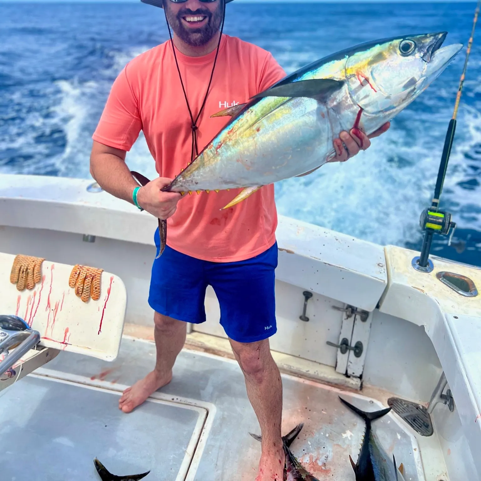 The most recent Yellowfin tuna catches on Fishbrain