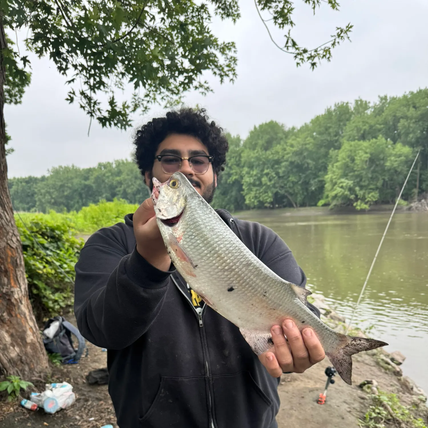 The most recent Goldeye catches on Fishbrain