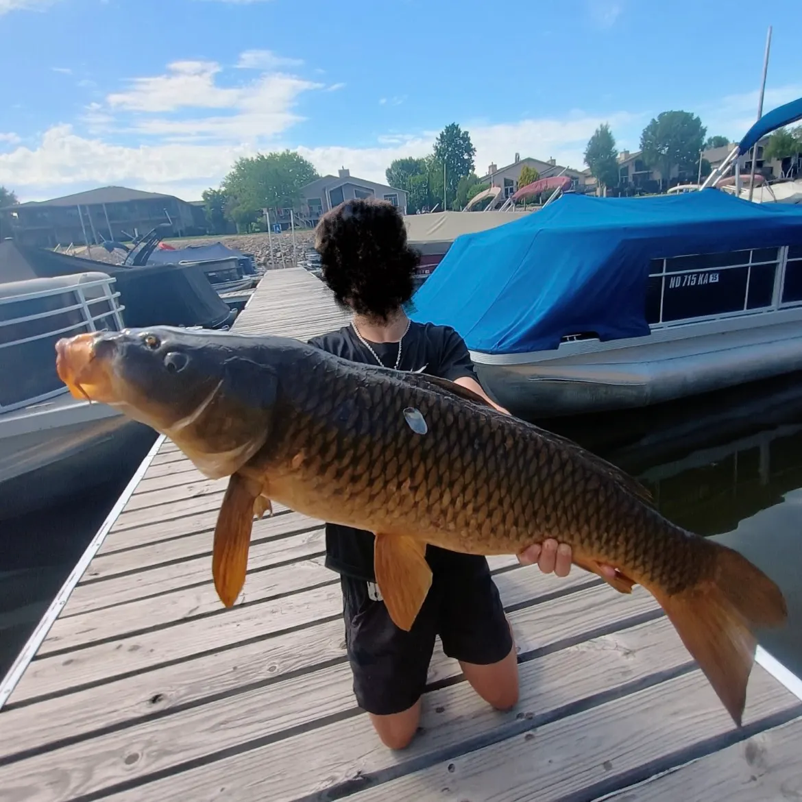 The most recent Common carp catches on Fishbrain