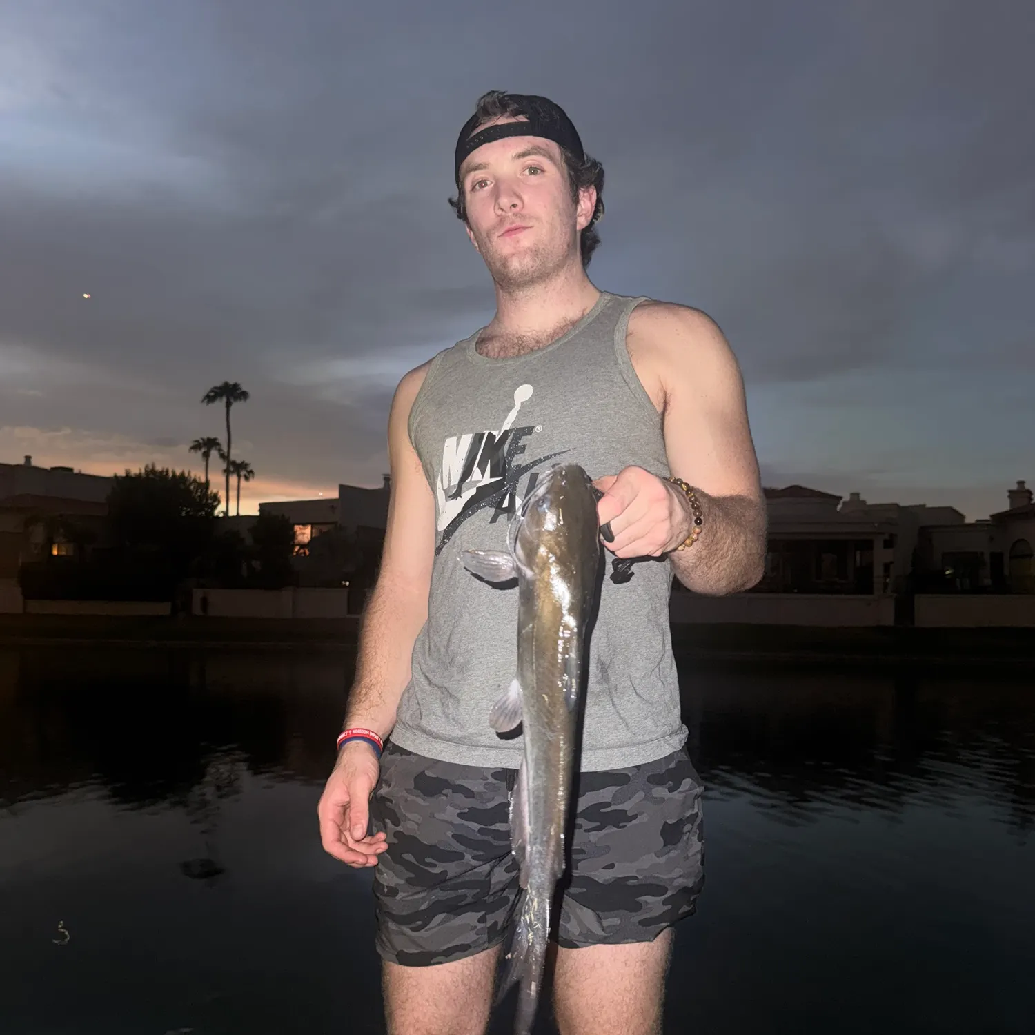 Channel catfish caught on Fishbrain