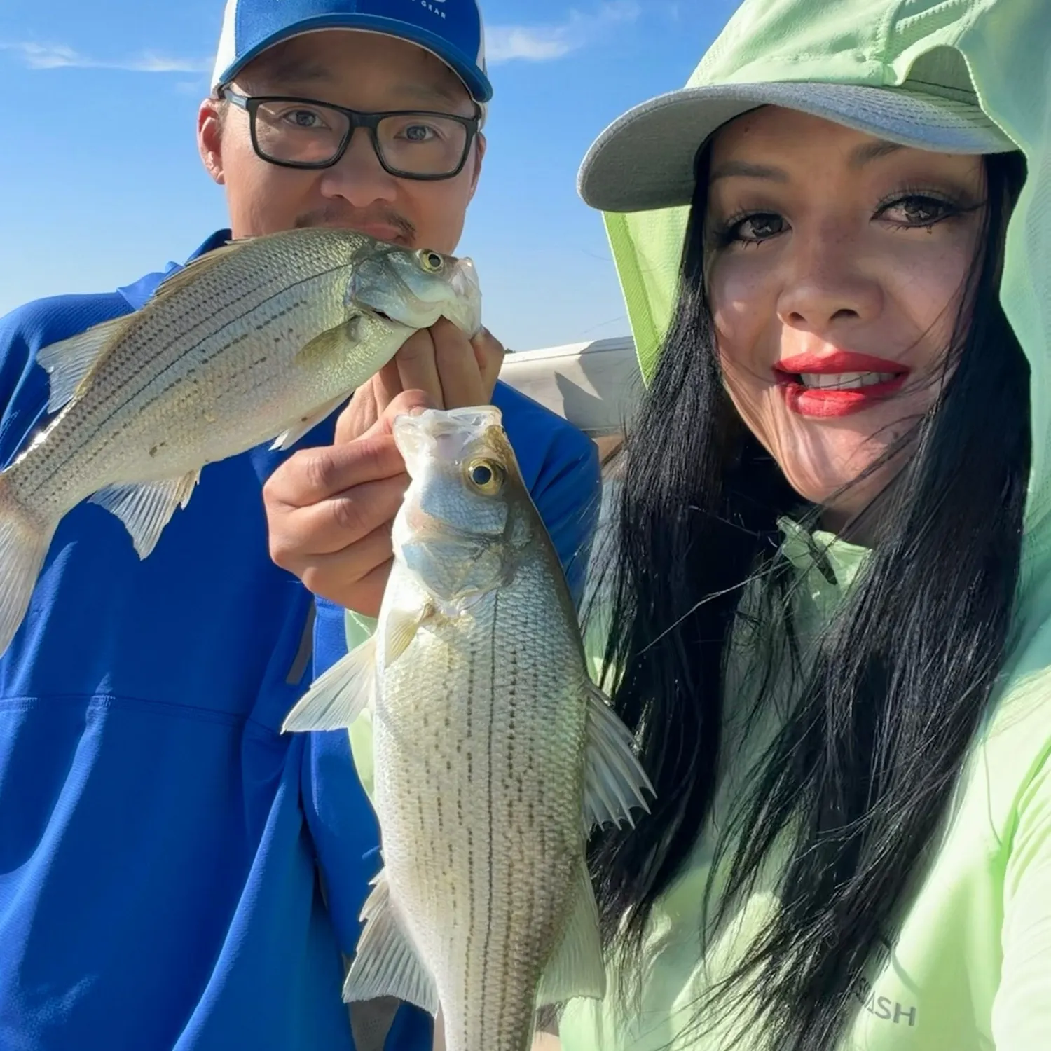 White bass caught on Fishbrain