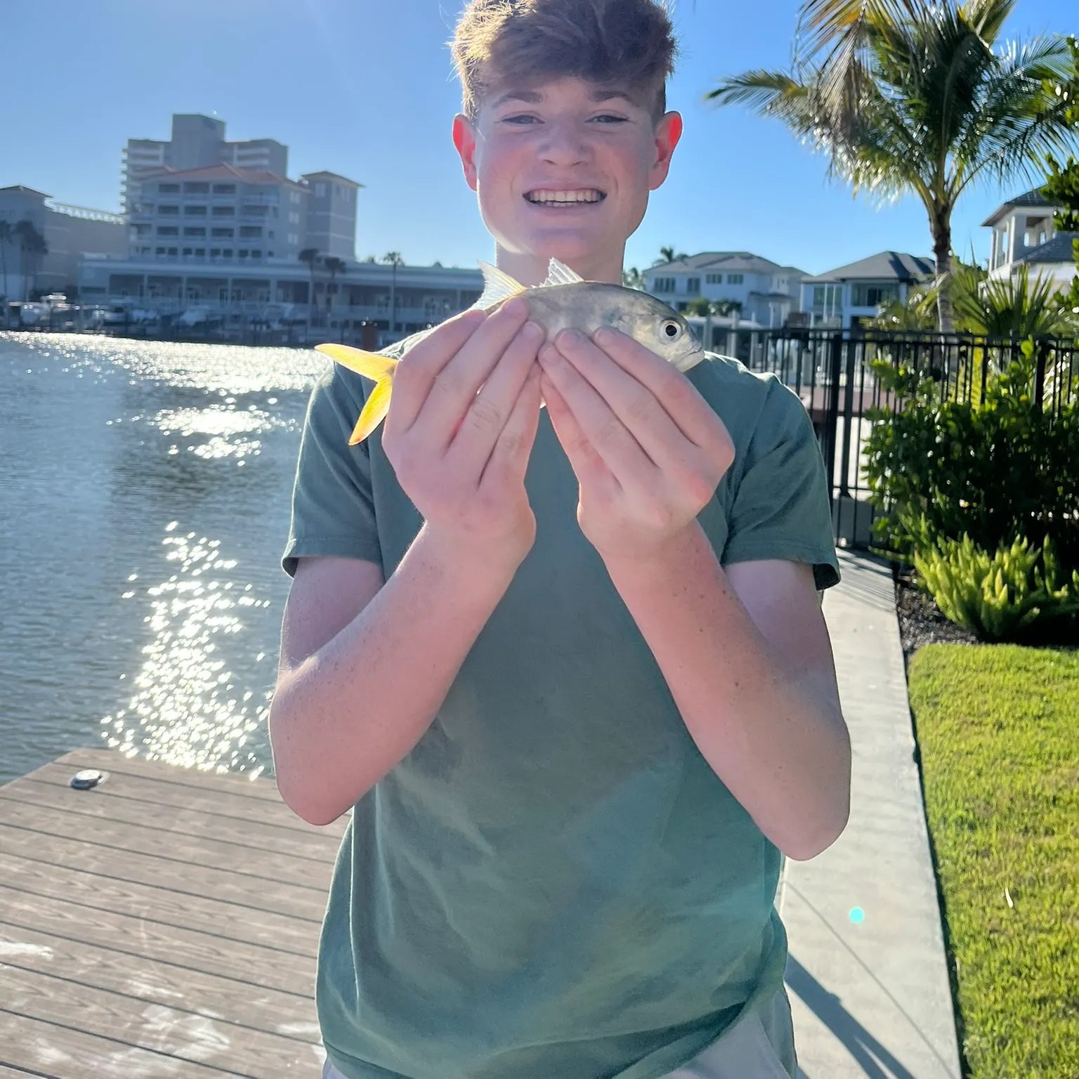 The most recent Crevalle jack catches on Fishbrain