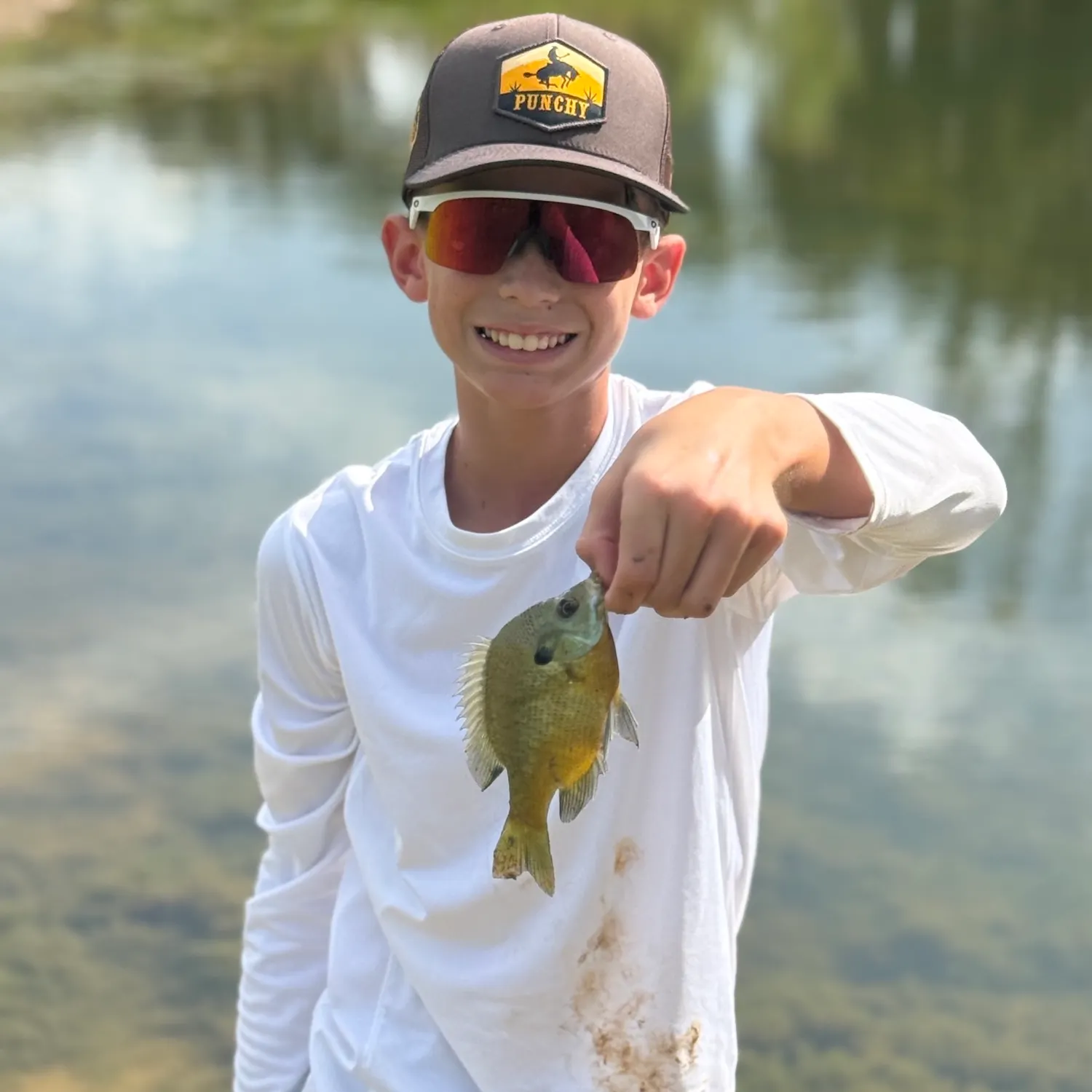 The most recent Bluegill catches on Fishbrain